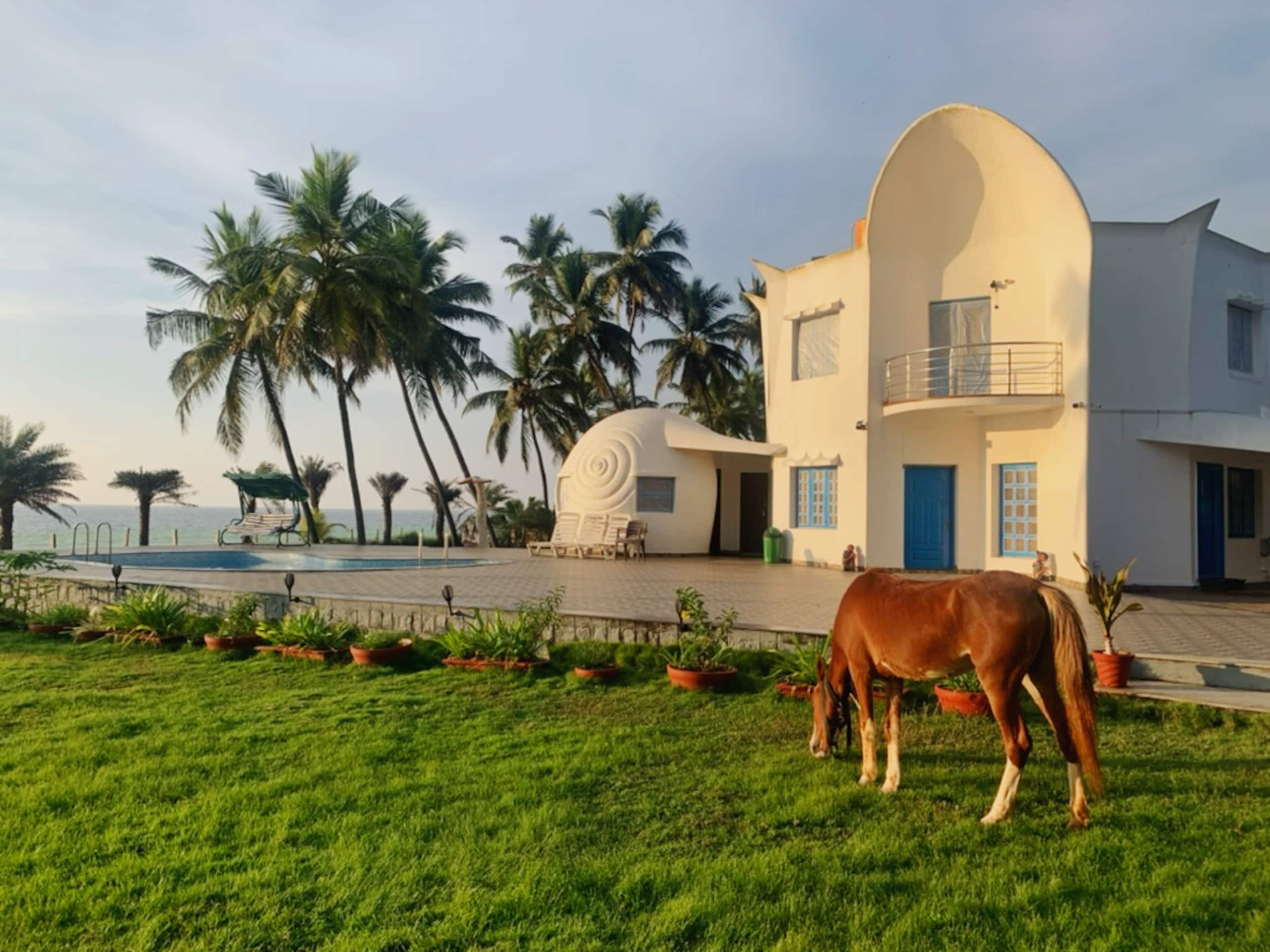 Beach Stay with Pool: White Noise Beach House — photo 3