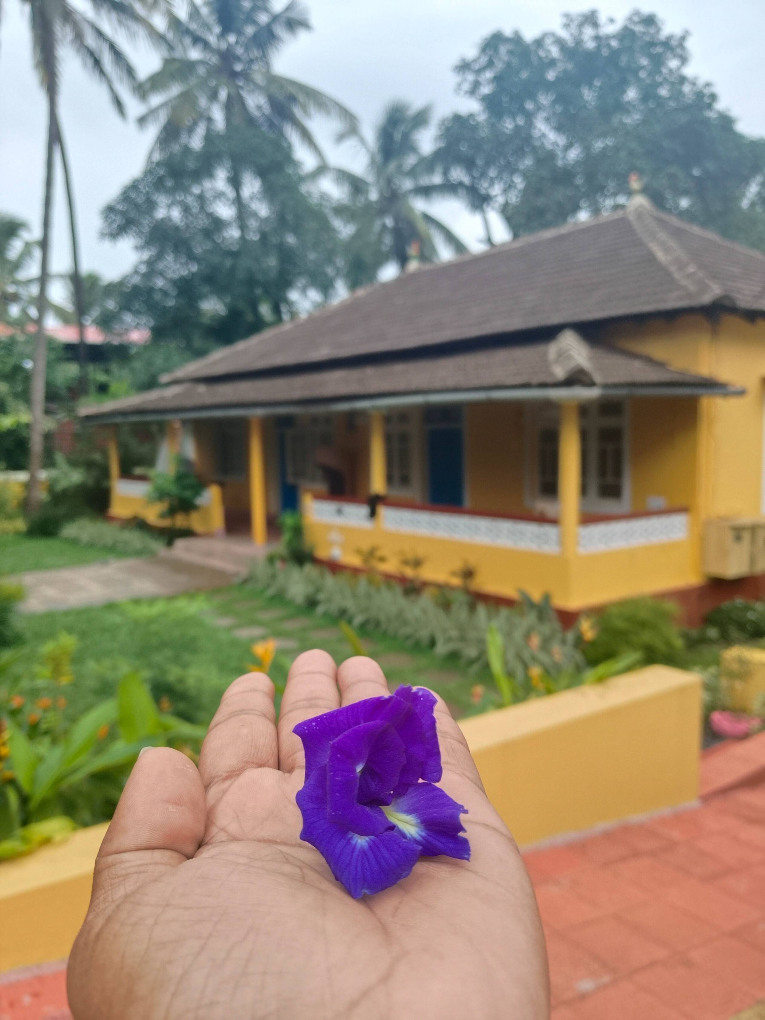 Goa Sunshine Cottage 
Home Away From Home @ GOA 13
