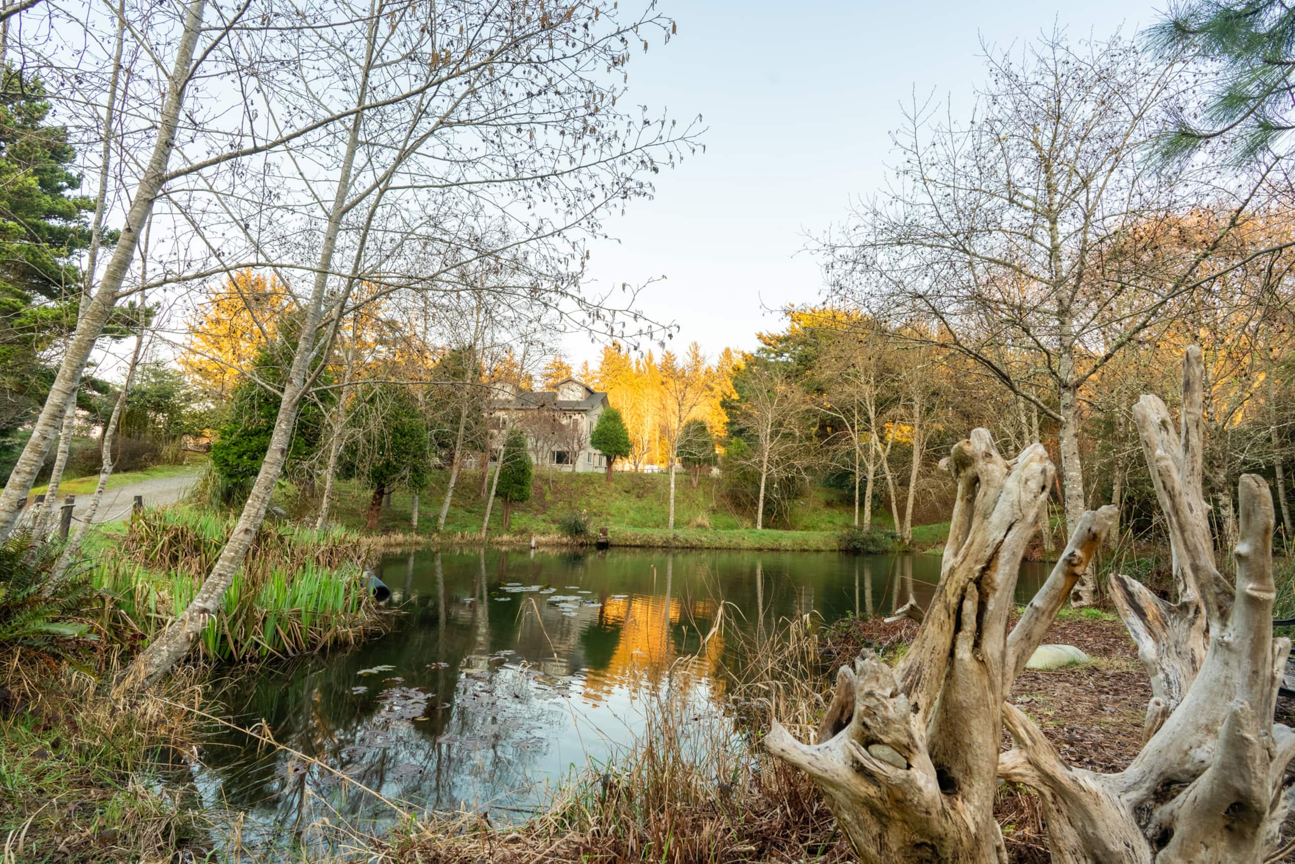 Executive Nature Retreat 6
