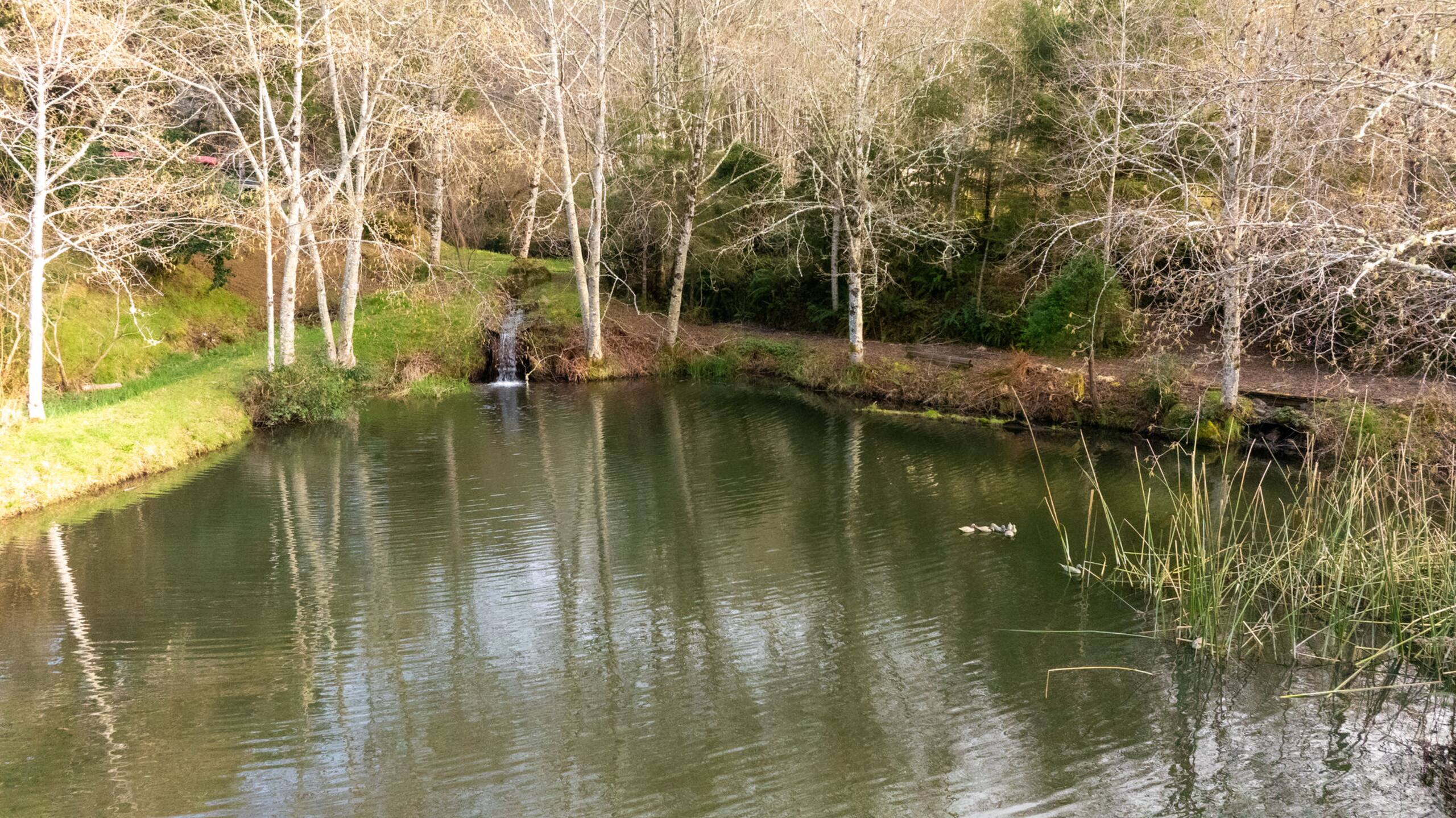Executive Nature Retreat 7