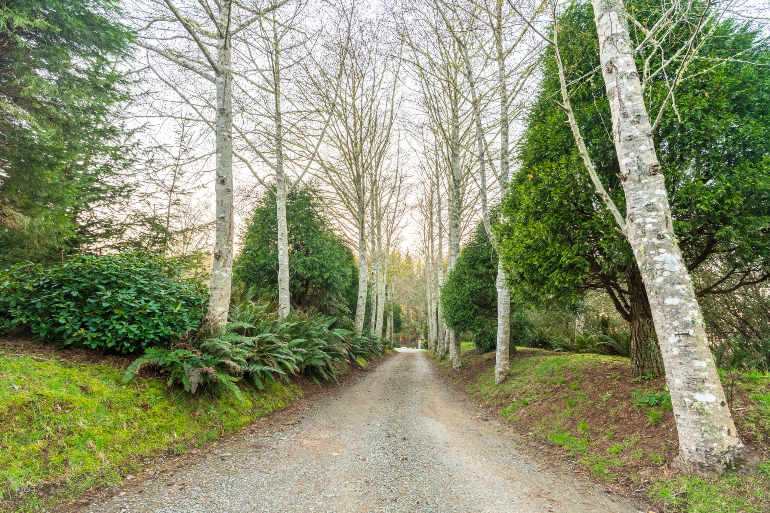 Executive Nature Retreat — photo 4