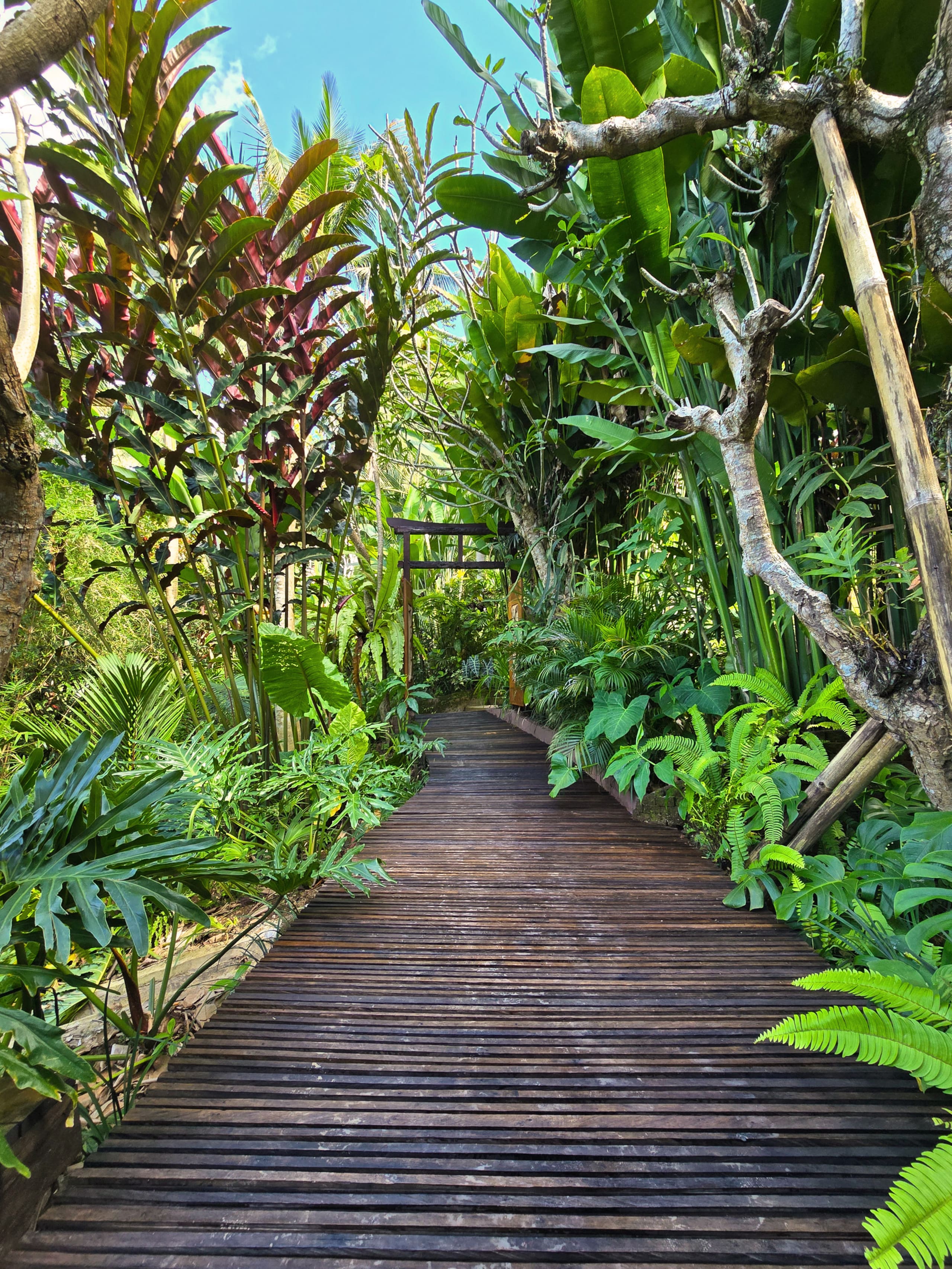 Private Joglo Villa with Pool · Jungle near Ubud 33