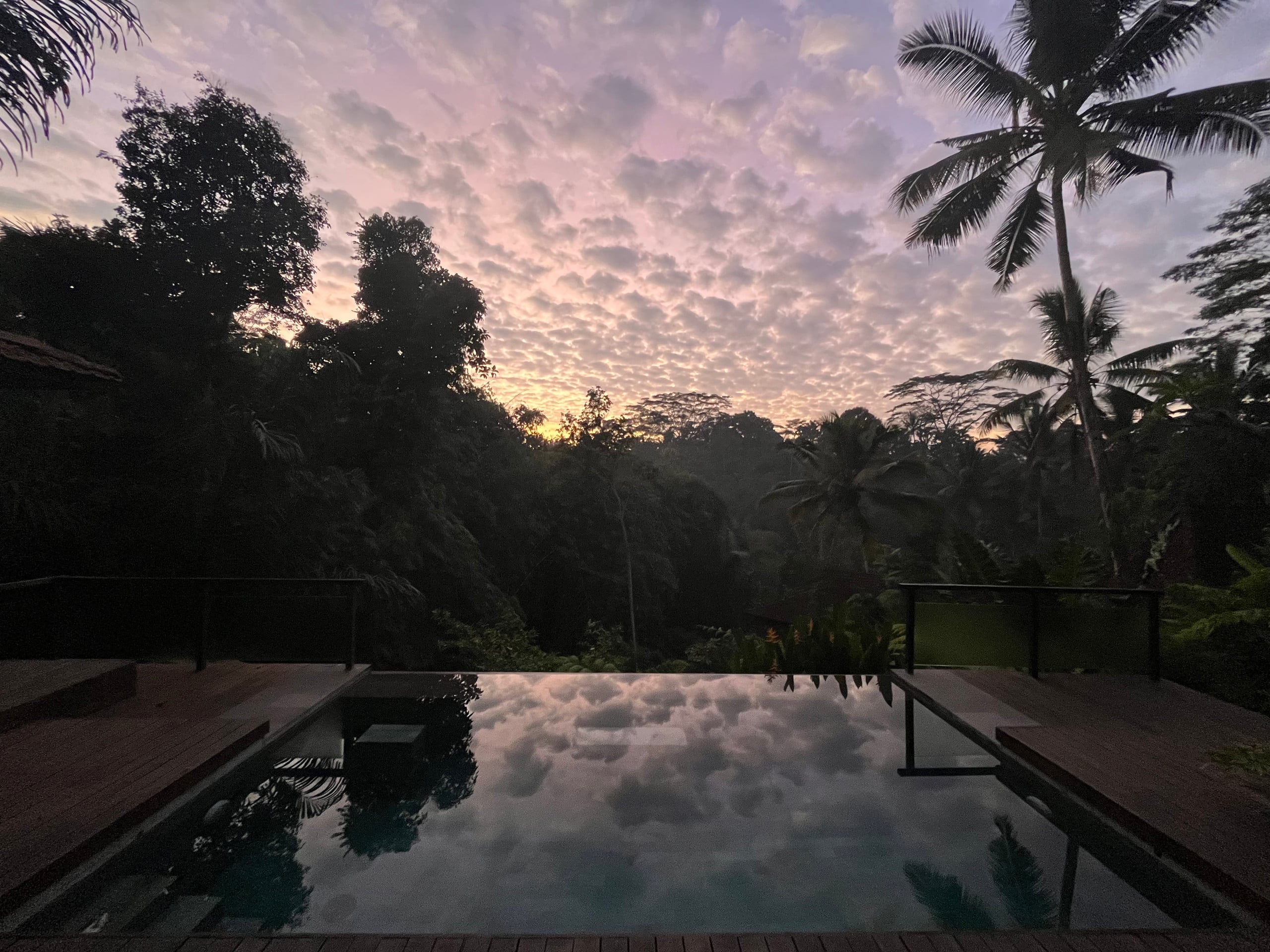 Private Joglo Villa with Pool · Jungle near Ubud — photo 3