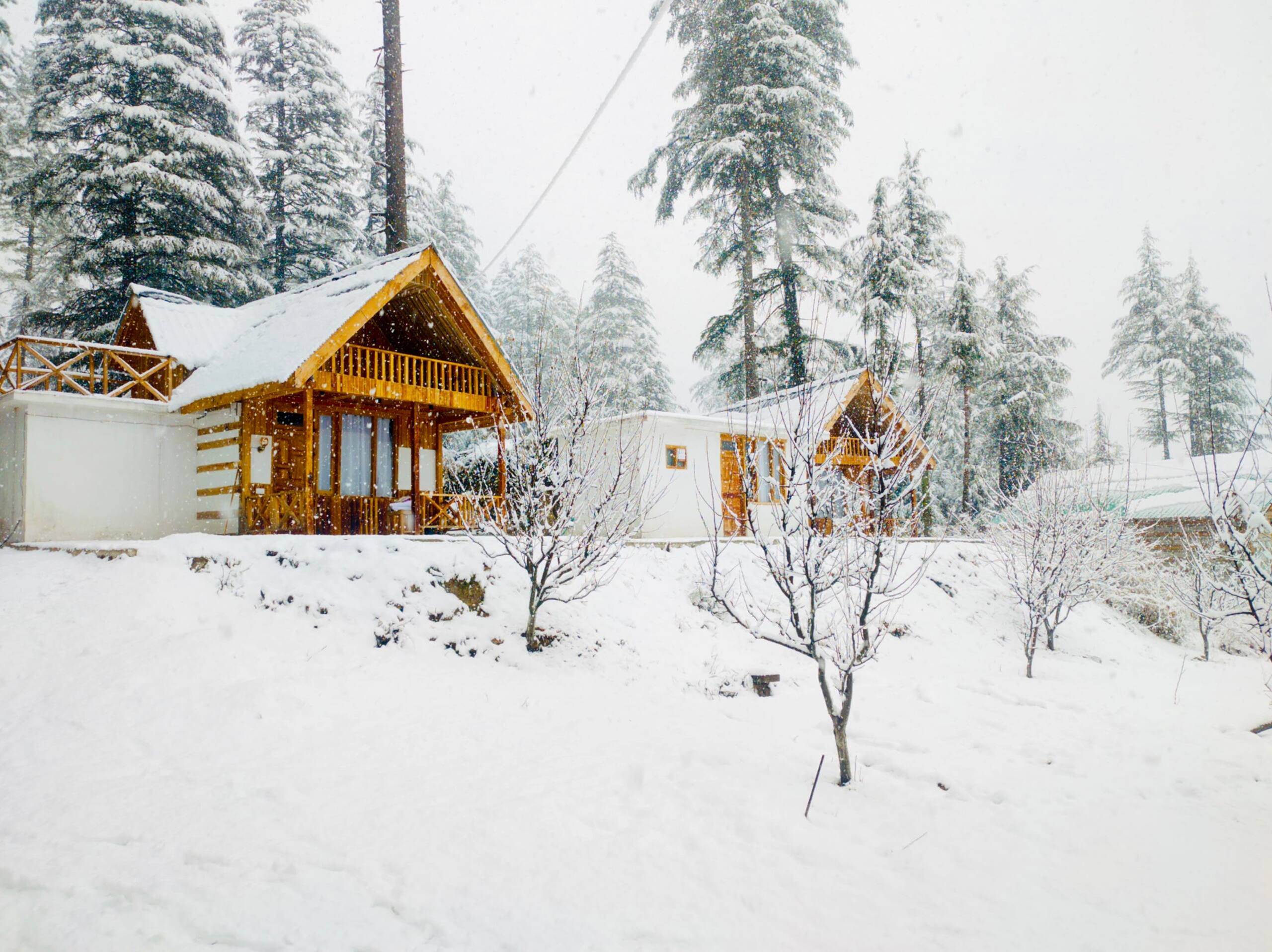 Anantay - The Chalet | Wooden Cottage 2 | Shangarh 4