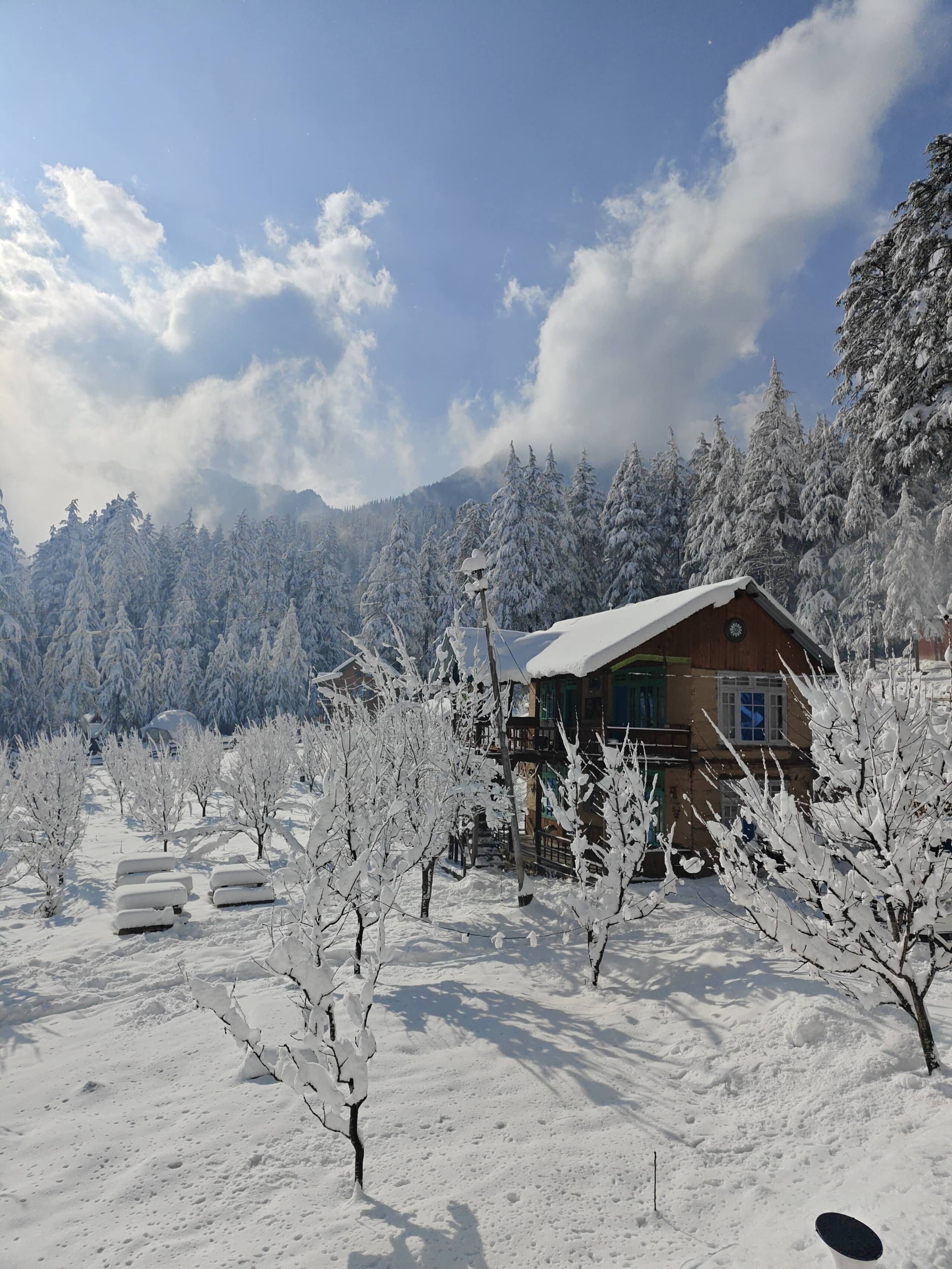 Anantay - The Chalet | Wooden Cottage 2 | Shangarh 1