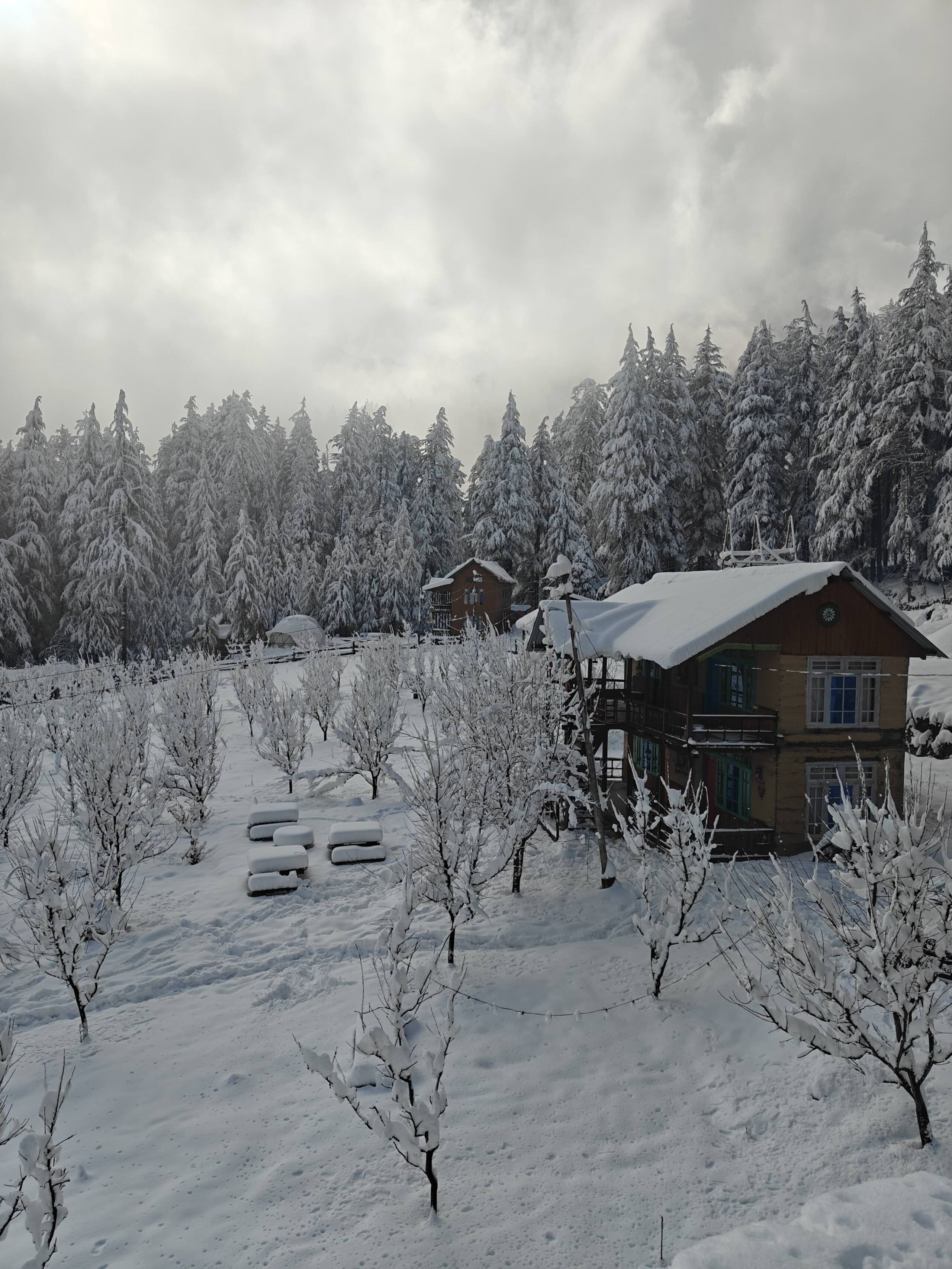 Anantay - The Chalet | Wooden Cottage 2 | Shangarh 26
