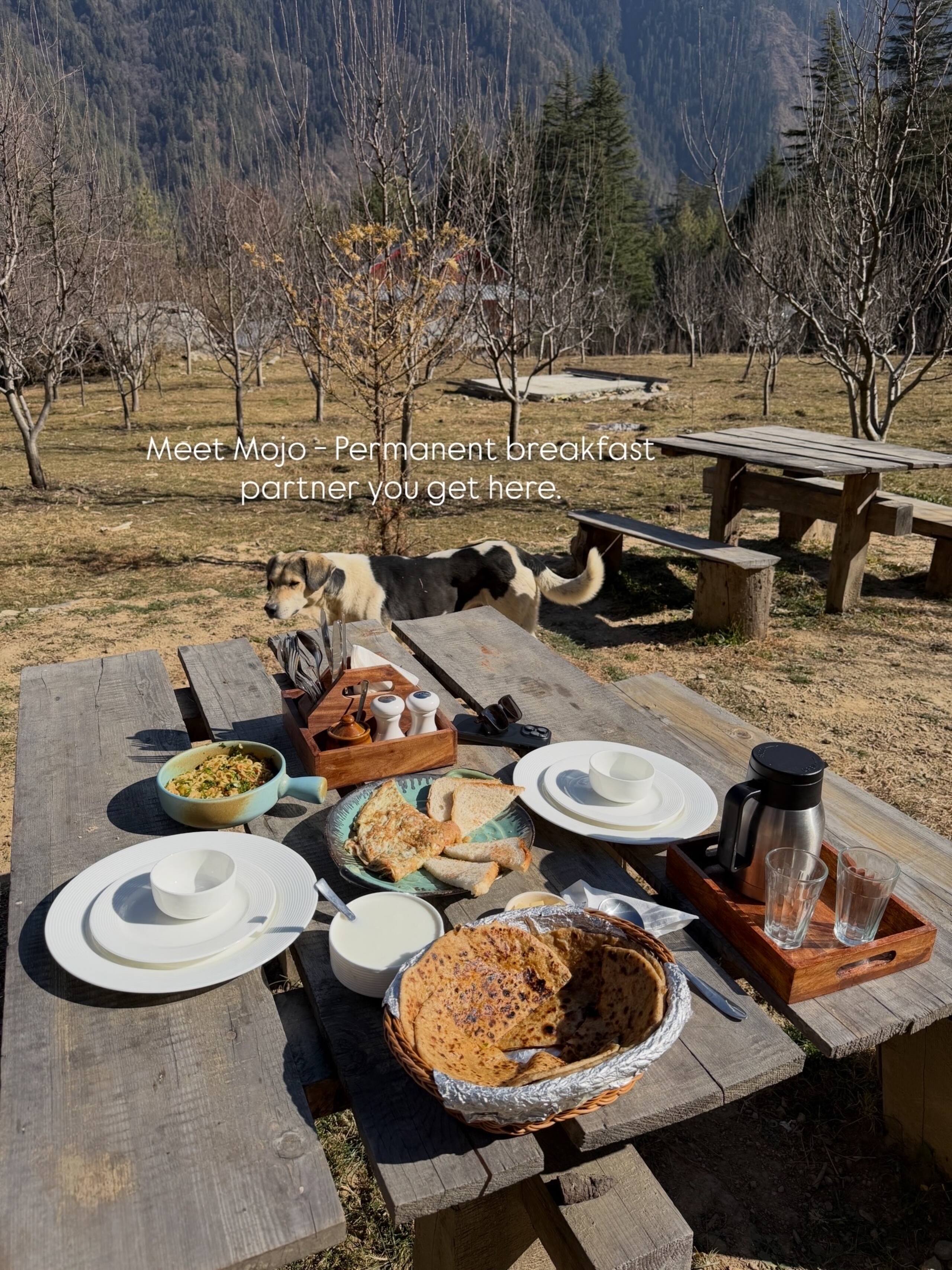 Anantay - The Chalet | Wooden Cottage 2 | Shangarh 16