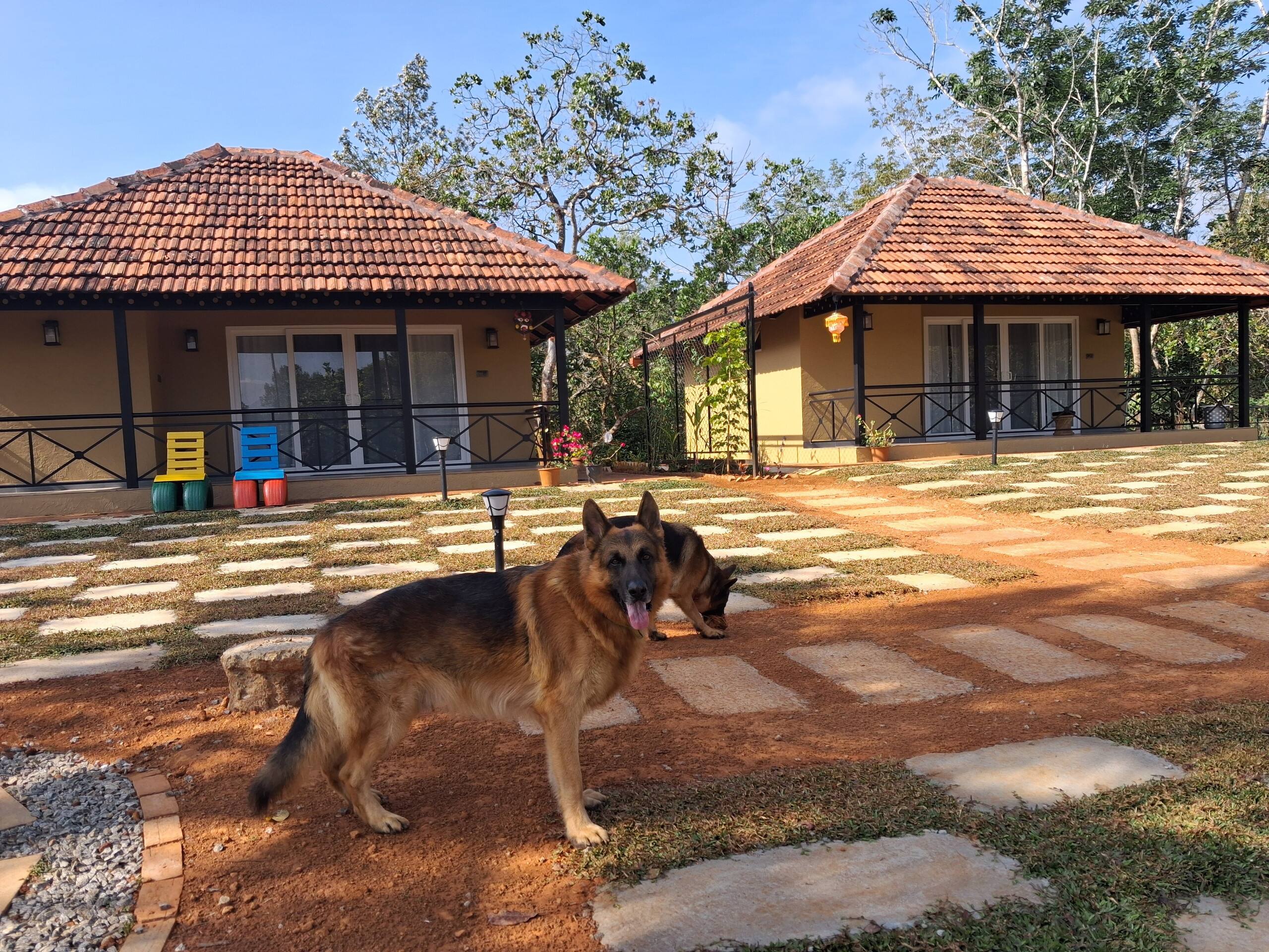 Vidman Homey Huts "Malhar" Home away from home 29