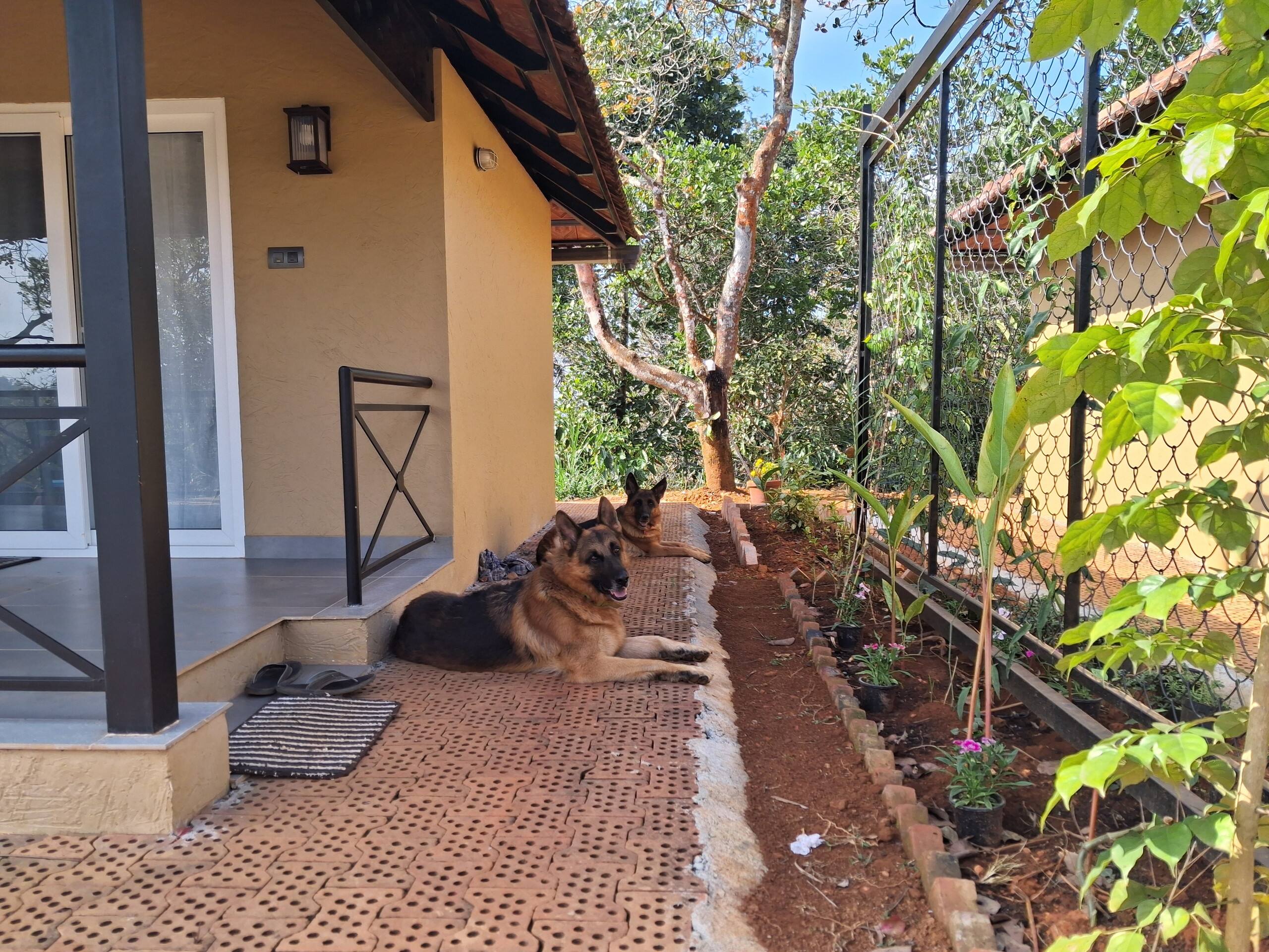 Vidman Homey Huts "Malhar" Home away from home 37