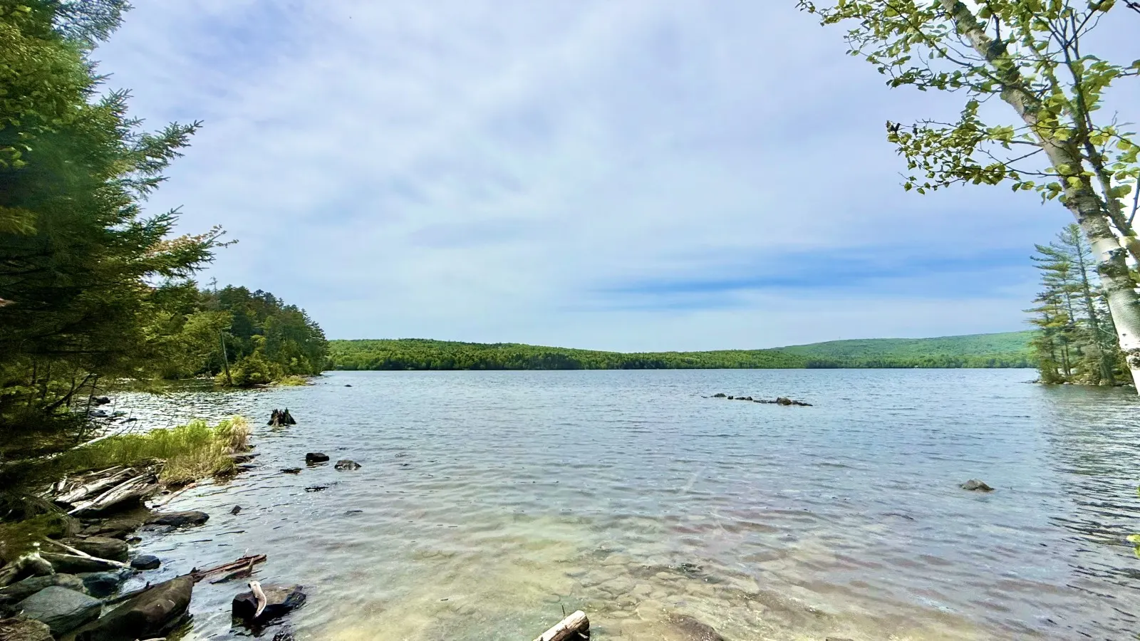 Loon Landing 15