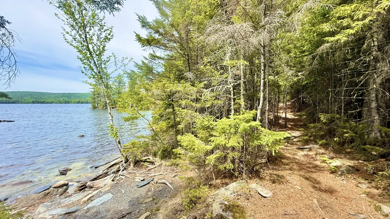 Loon Landing 18