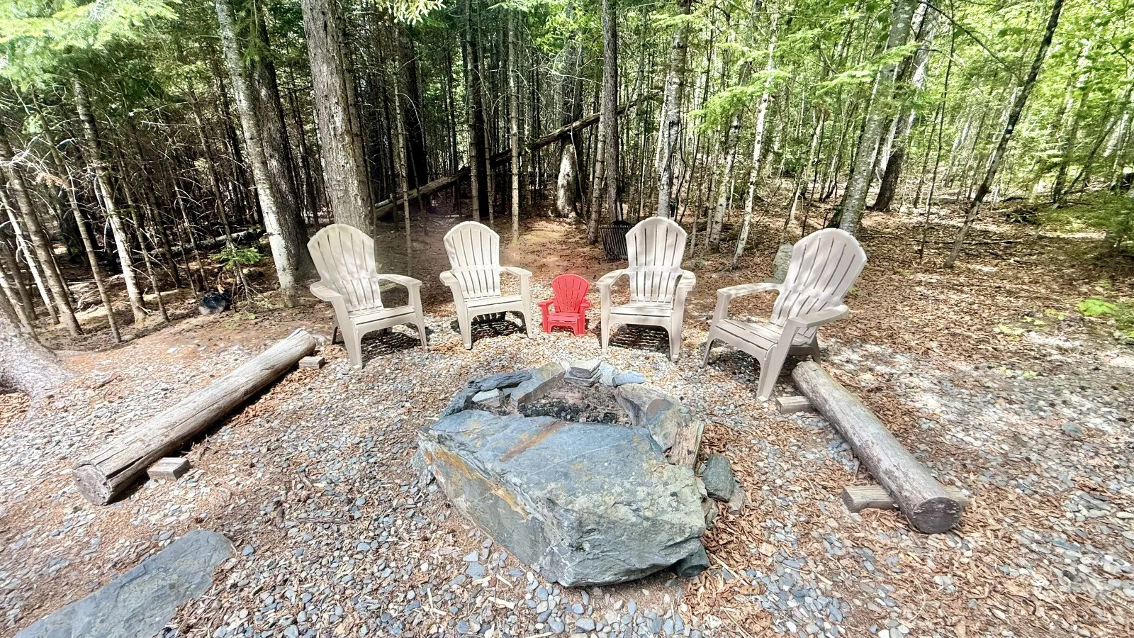 Loon Landing 20