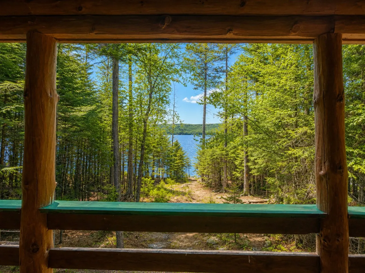 Loon Landing 3