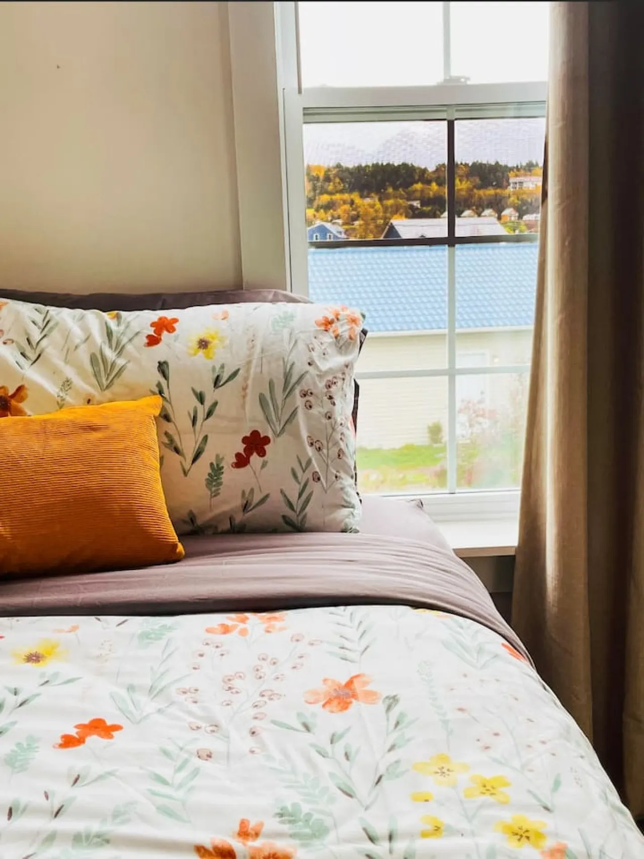 Fin's Studio Suite Apartment, Alma, Fundy Park 6