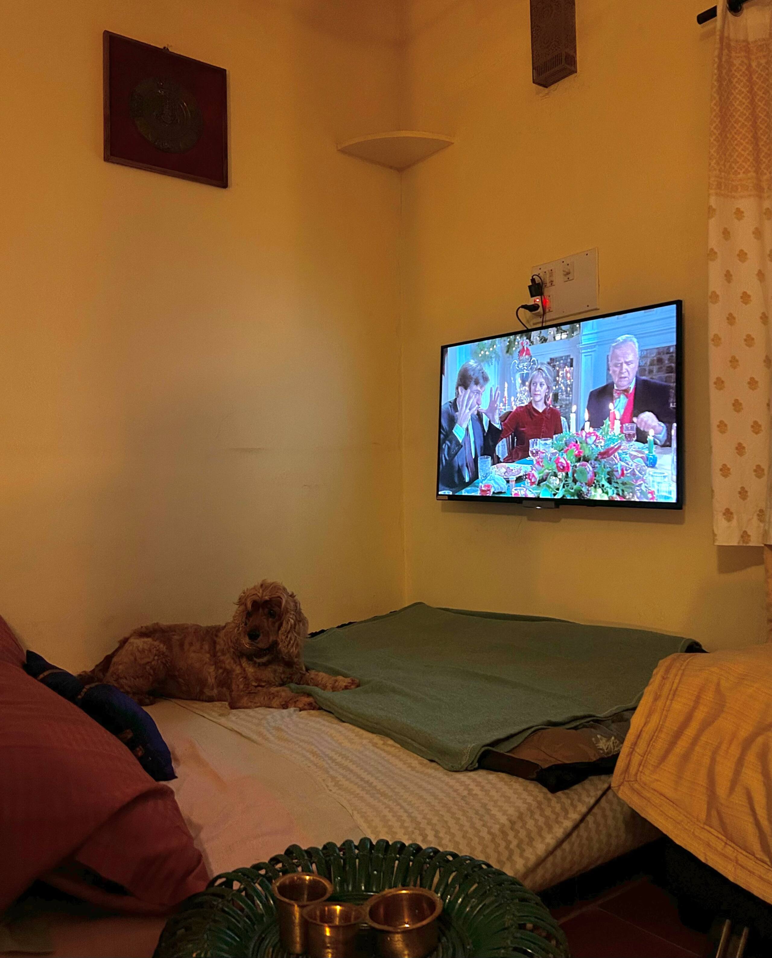 Neelu-Farm Stay (Grameen Camp) Exclusive & Private 14