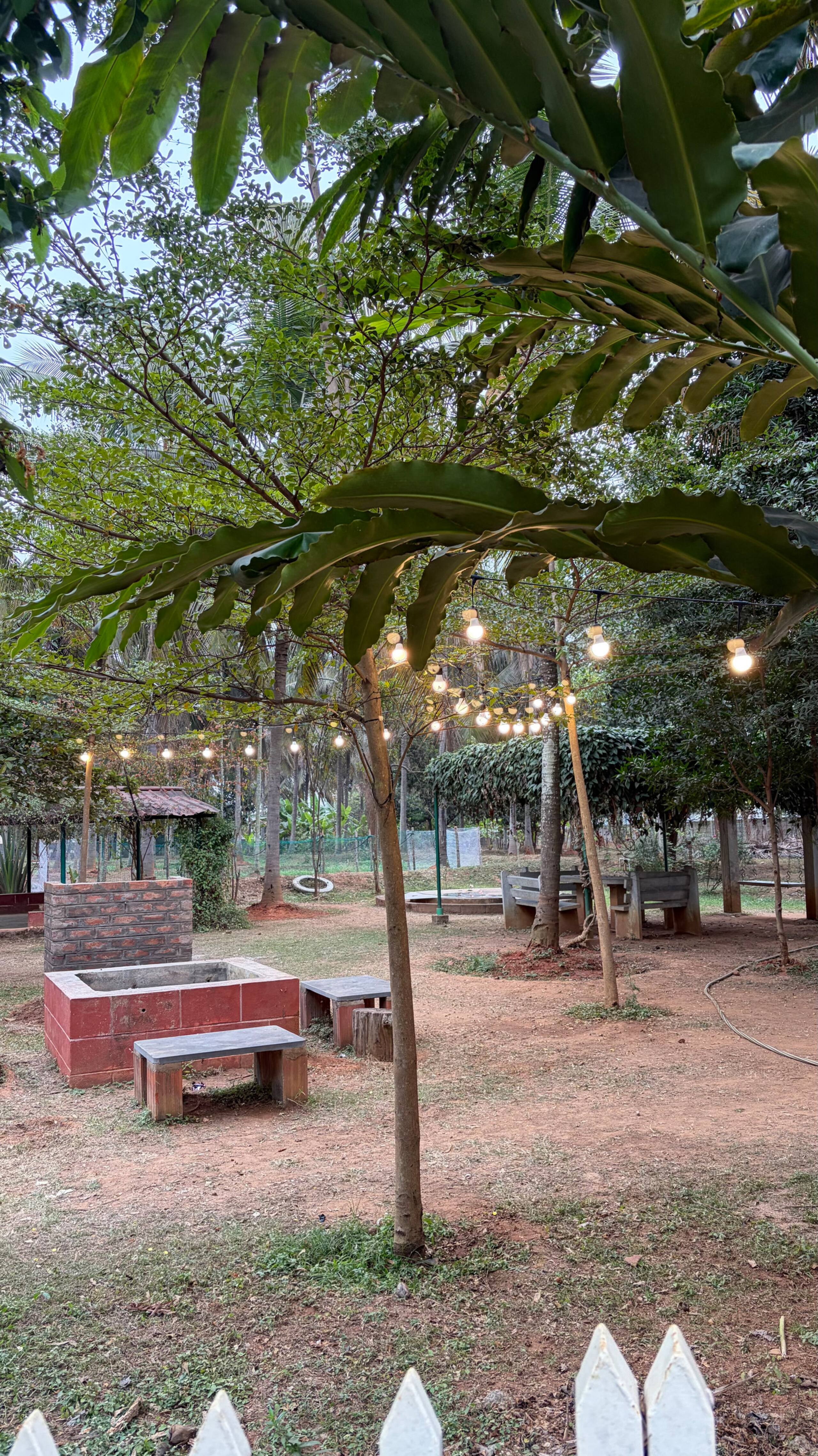Neelu-Farm Stay (Grameen Camp) Exclusive & Private 25