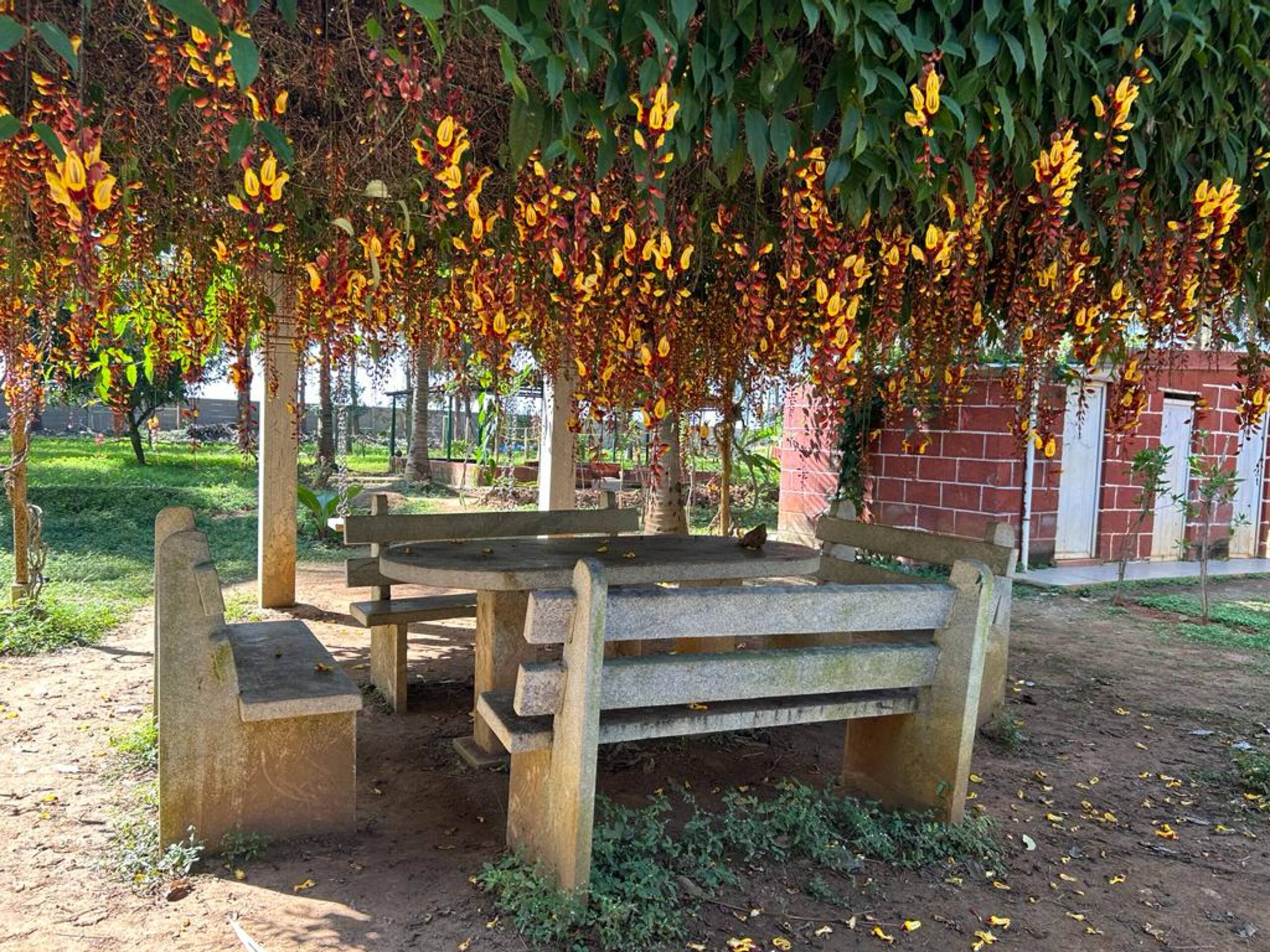 Neelu-Farm Stay (Grameen Camp) Exclusive & Private 19