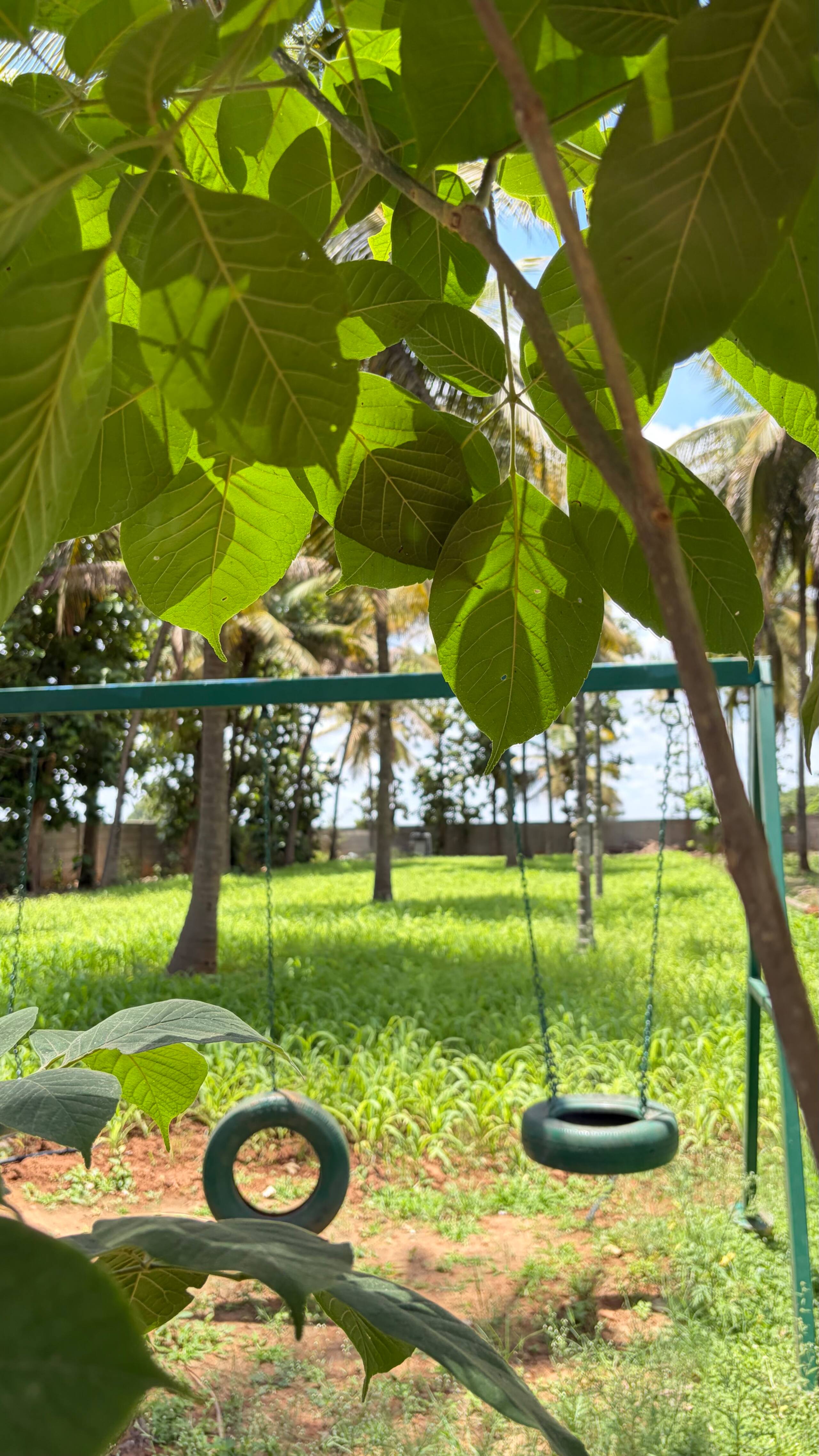 Neelu-Farm Stay (Grameen Camp) Exclusive & Private 27