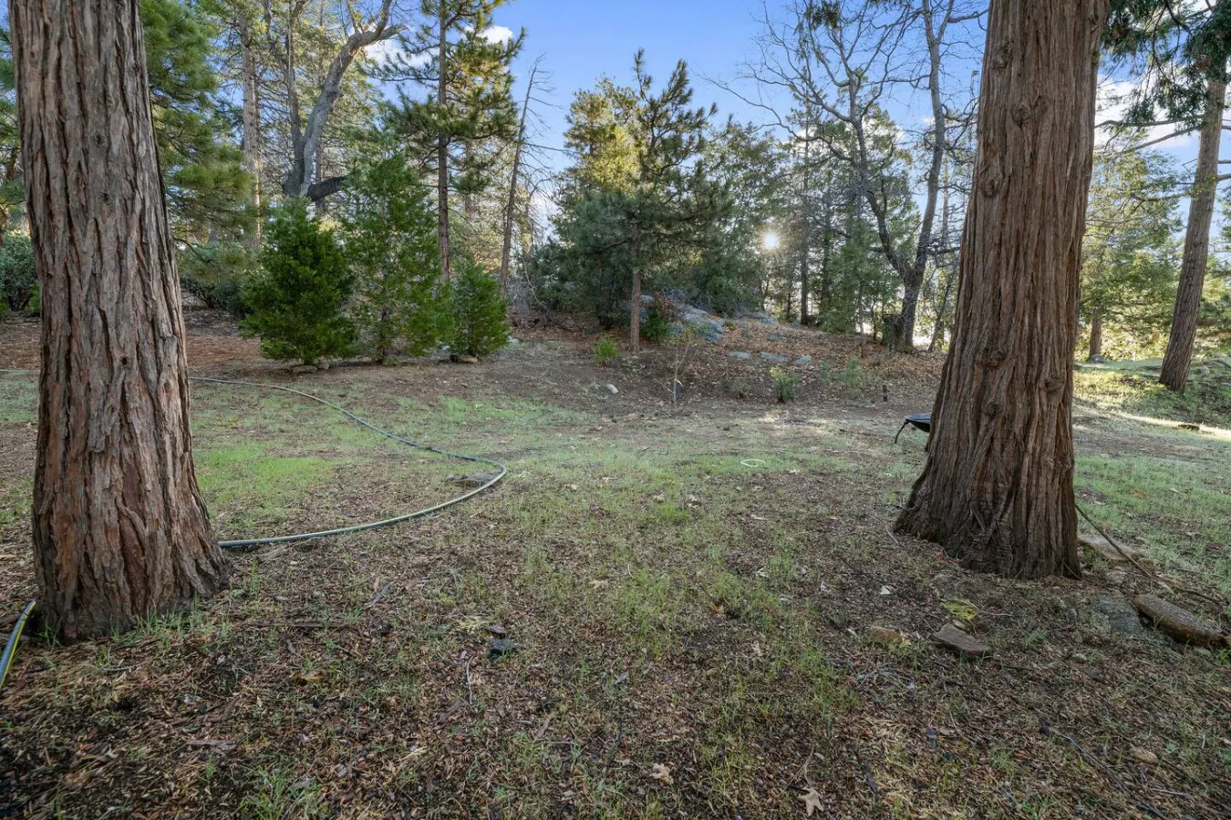 Idyllwild Retreat - Fire Pit, Views, Game Room 7