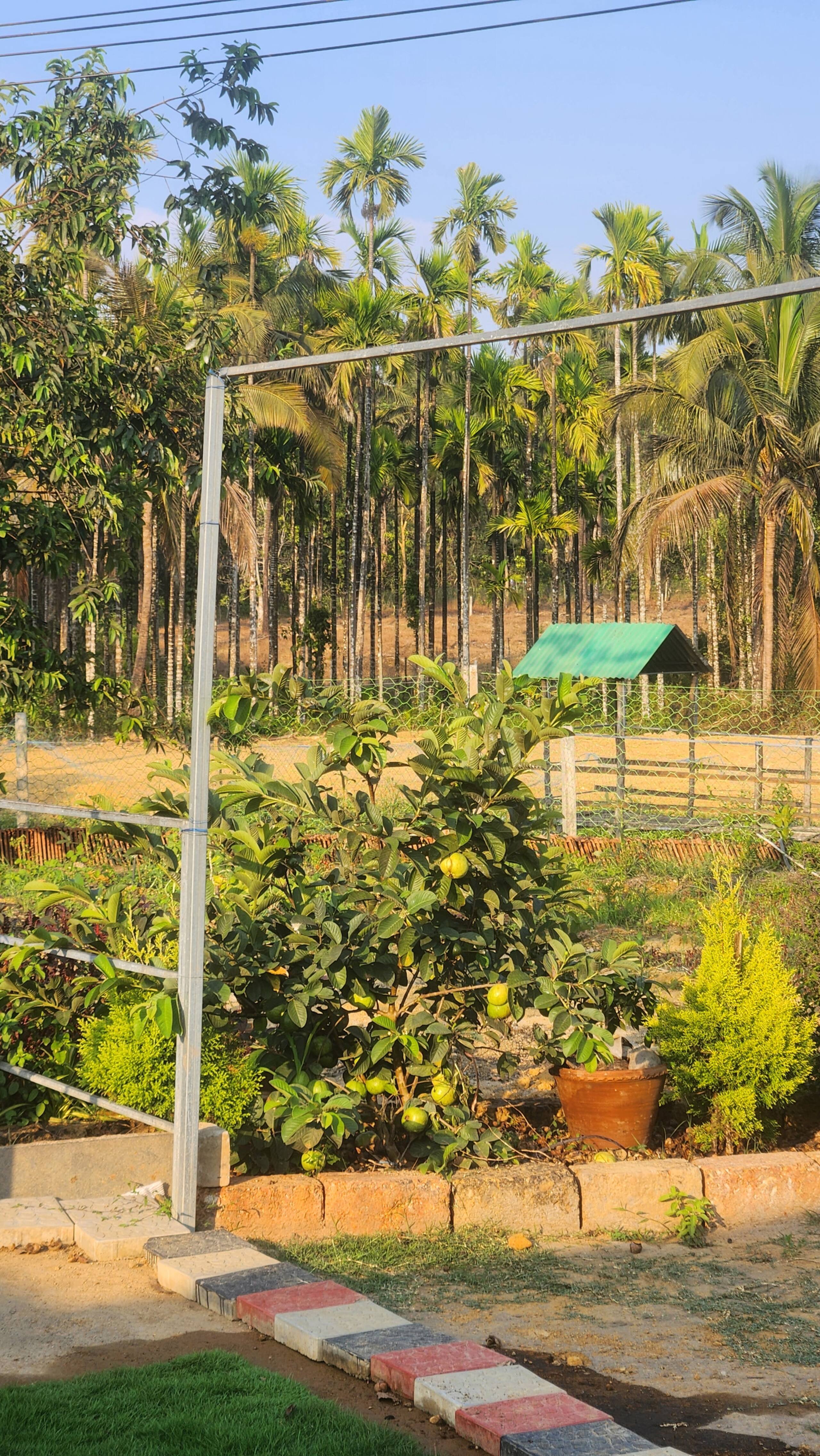 Unique farmhouse. 39 mins from Honnavar. 26
