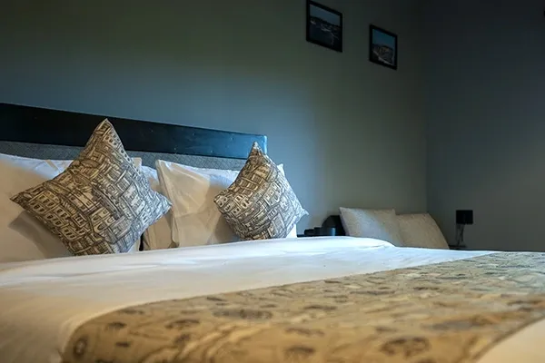 Room in Anjuna 15