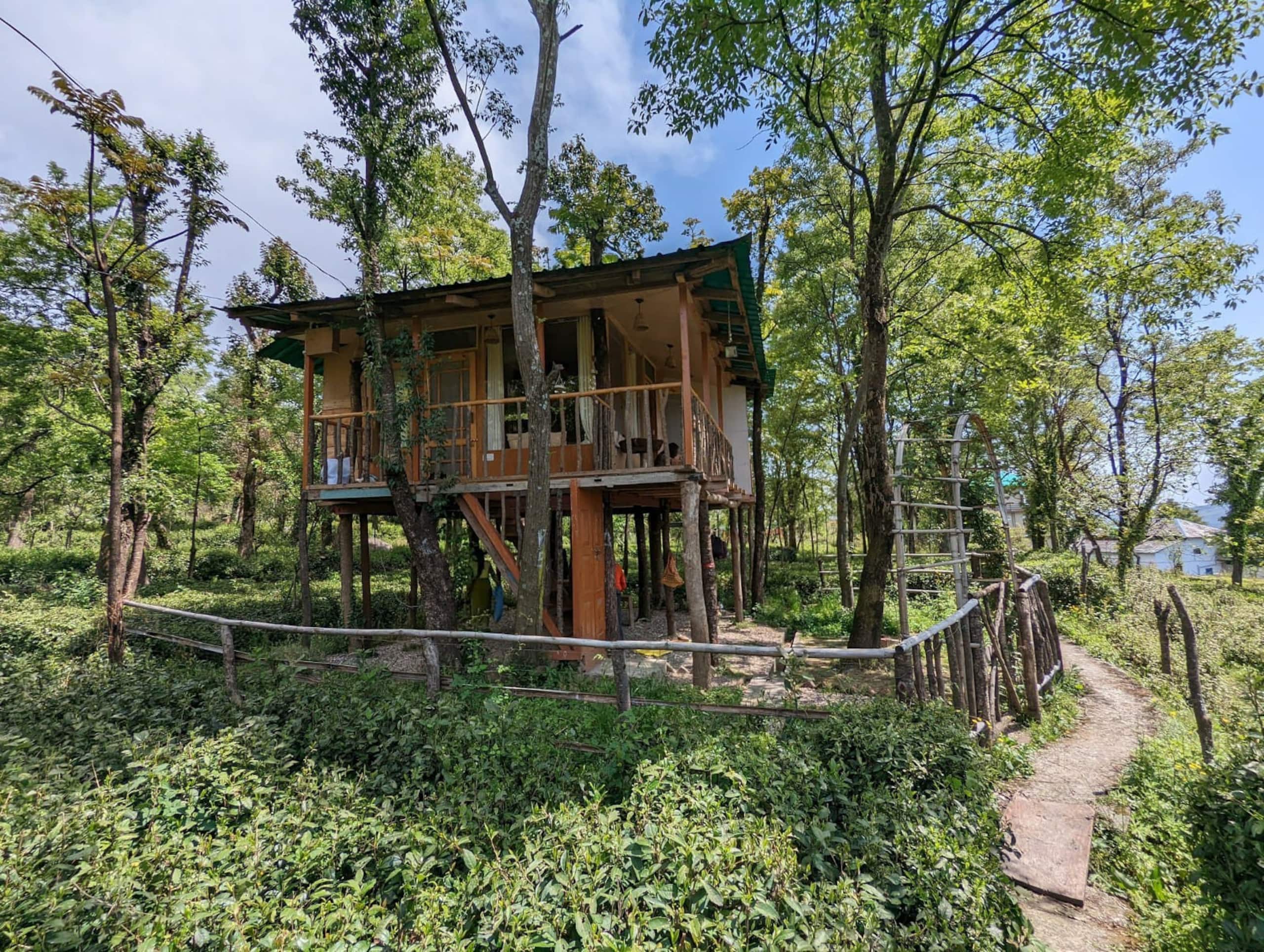 Pratham Treehouse 11