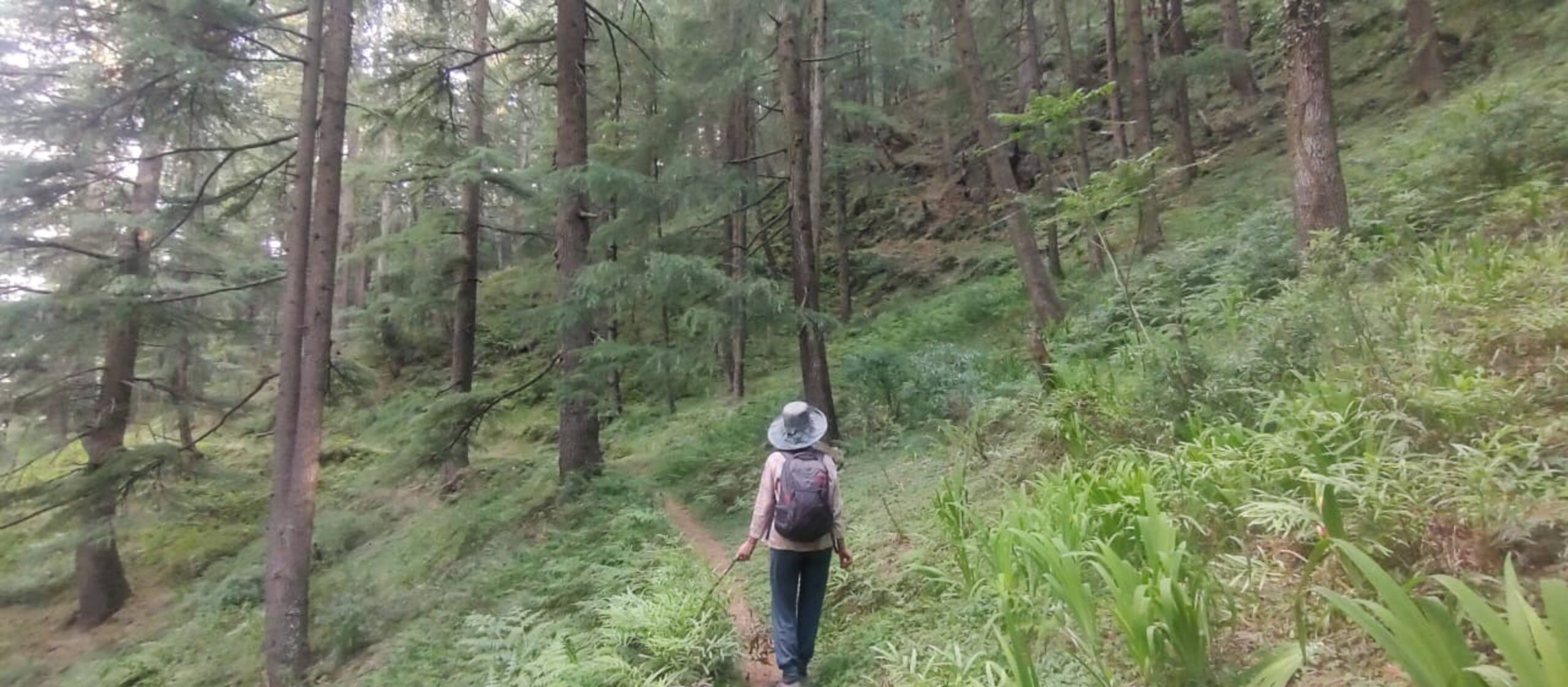 Nomad Heaven in the Himalayas 33