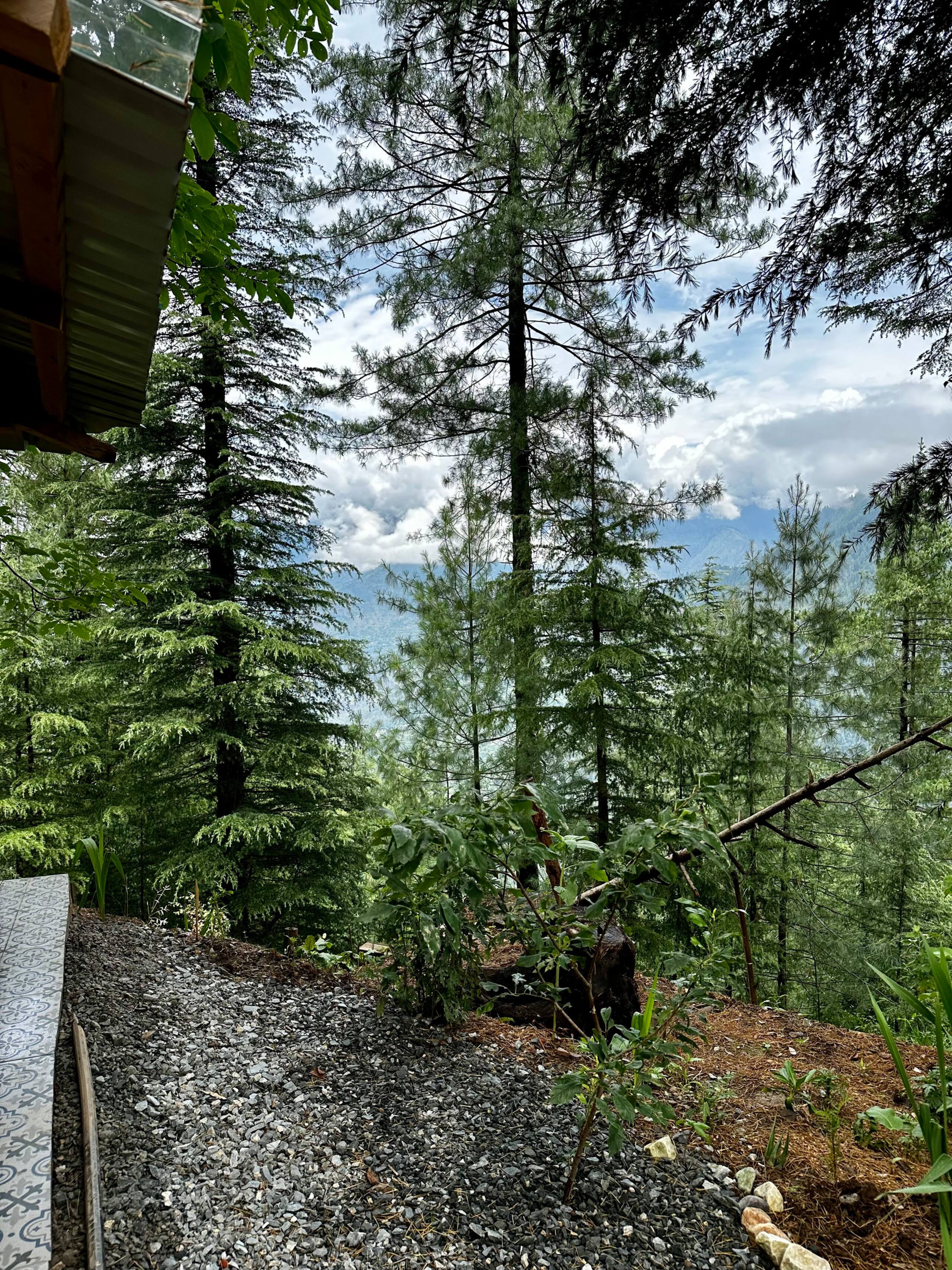 Nomad Heaven in the Himalayas 35