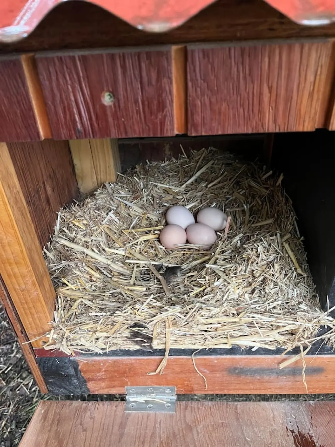 Bluebell Cottage 16