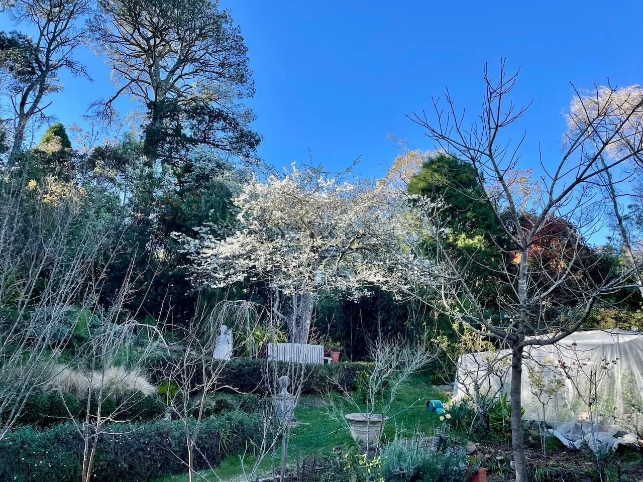 Bluebell Cottage 17