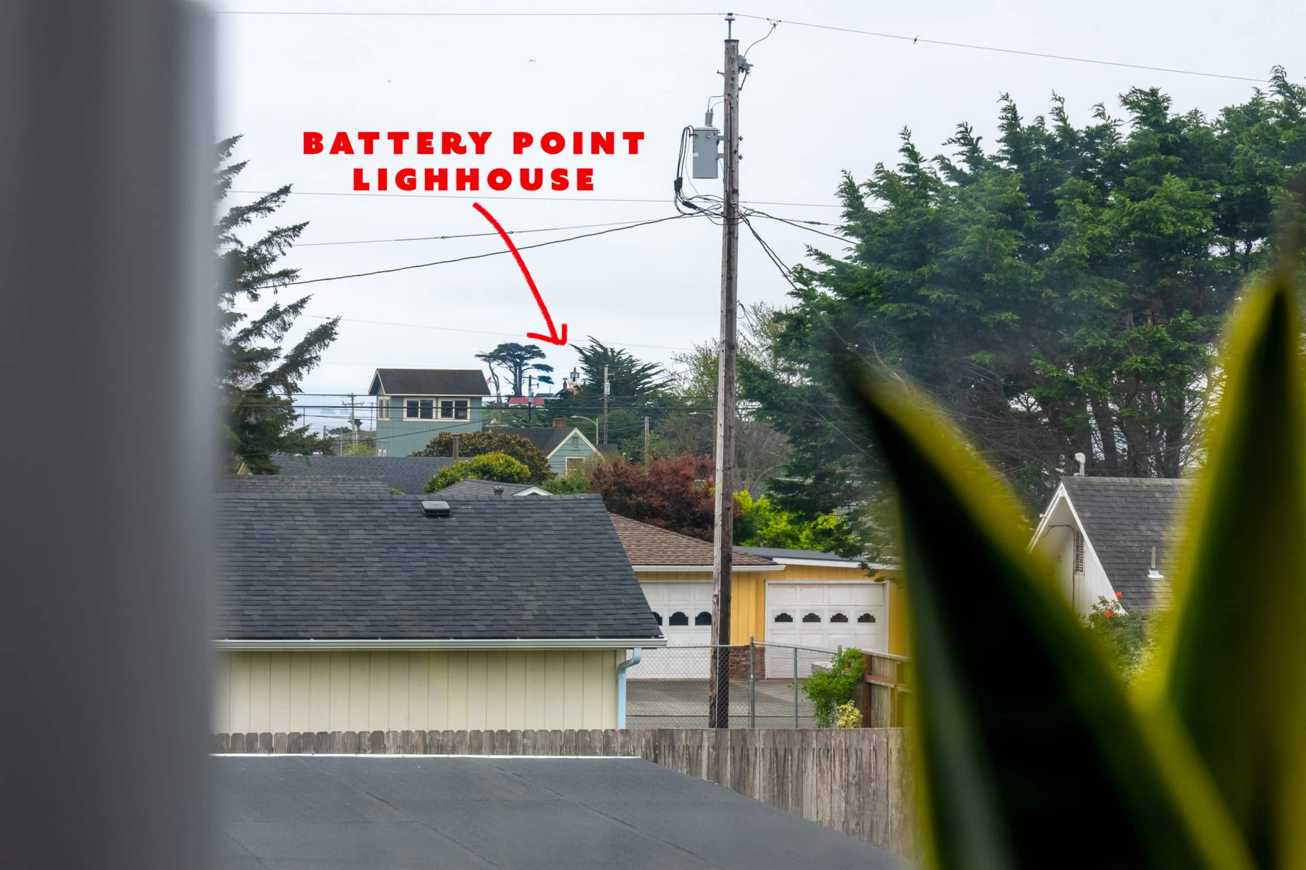 Redwood Coast Retreat — photo 2