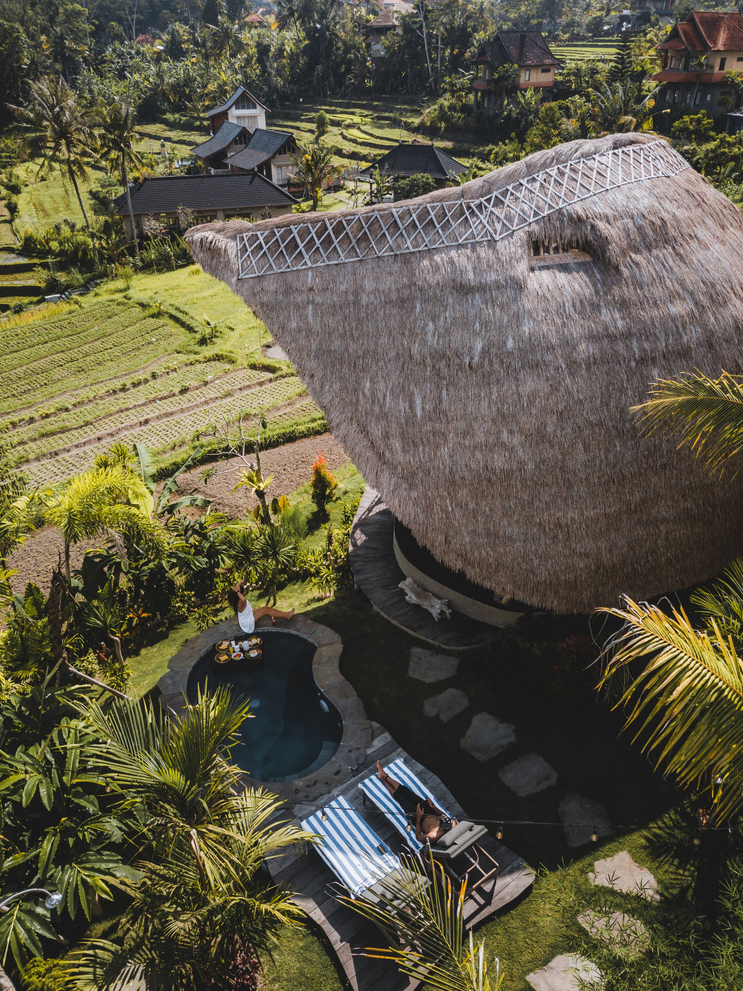 Veluvana Bali - Owl Bamboo House 7
