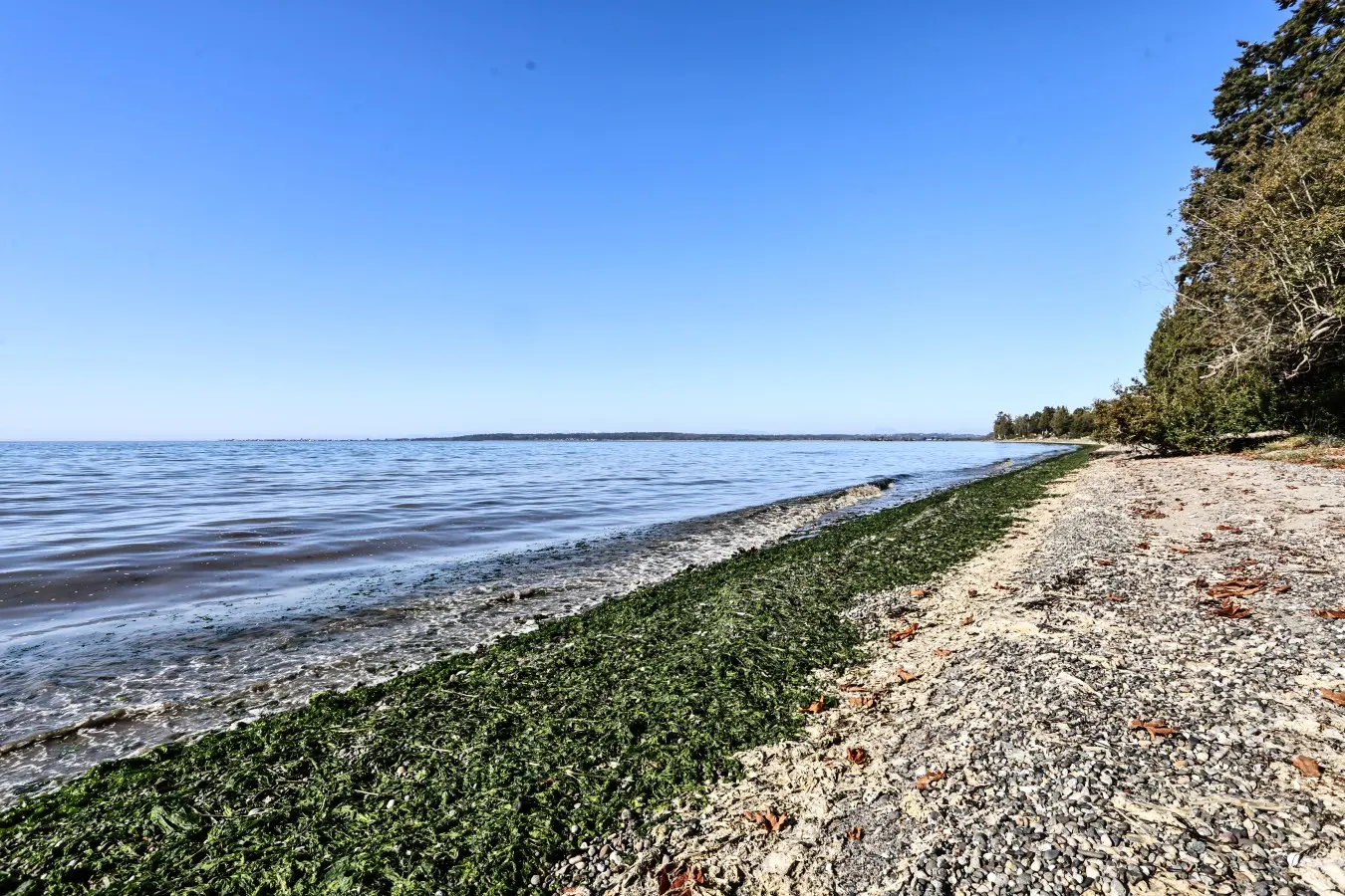 Water & Gulf Islands Views, Beach Access, Hot Tub, Game Room — photo 3