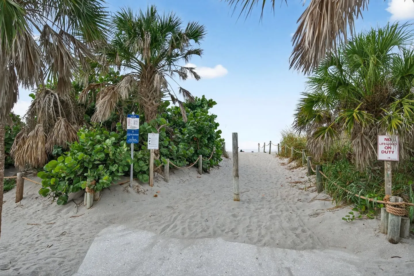The Patient Heron Serene Siesta Key Retreat 15