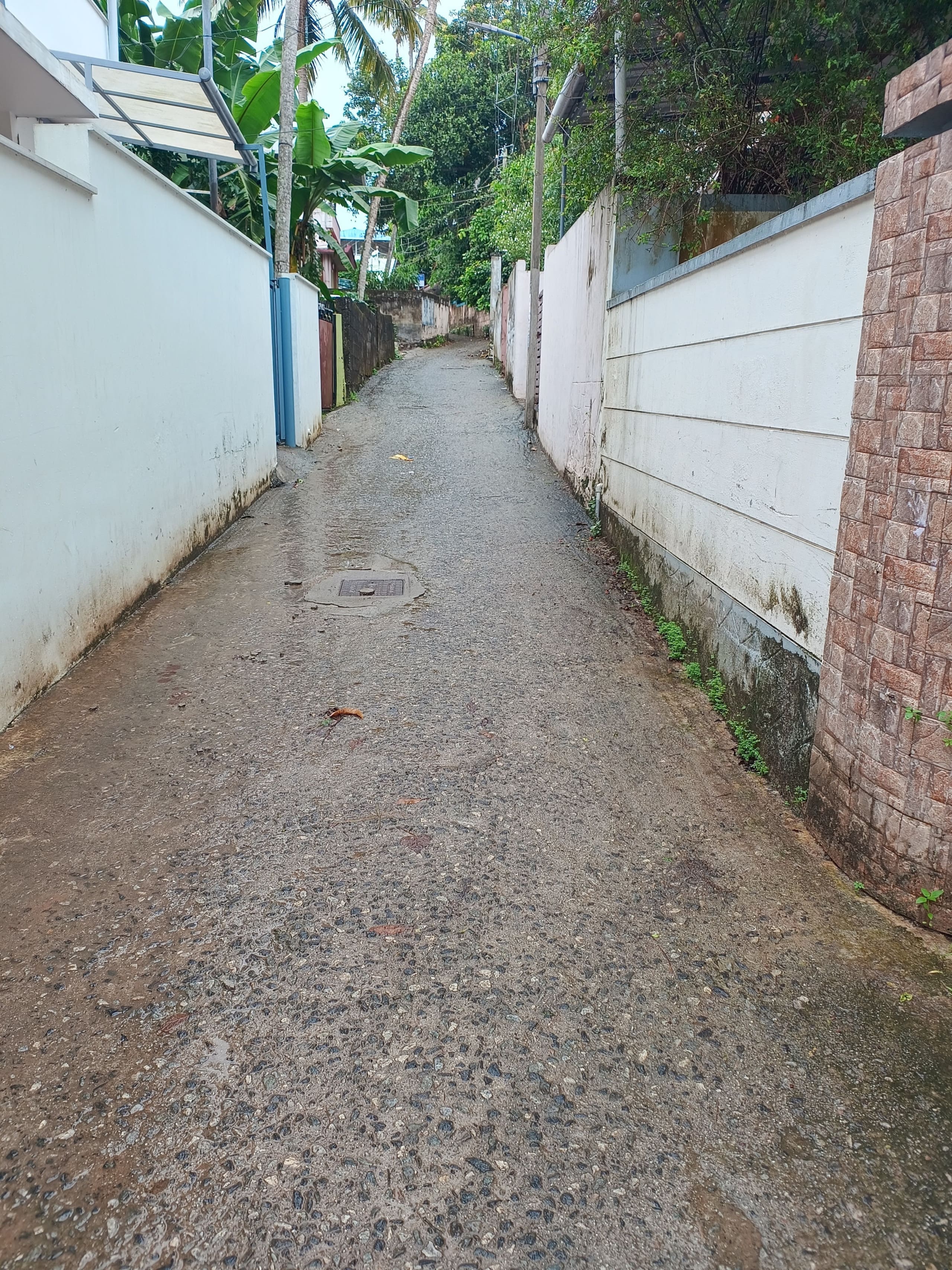 Mango Tree Home in Trivandrum 11