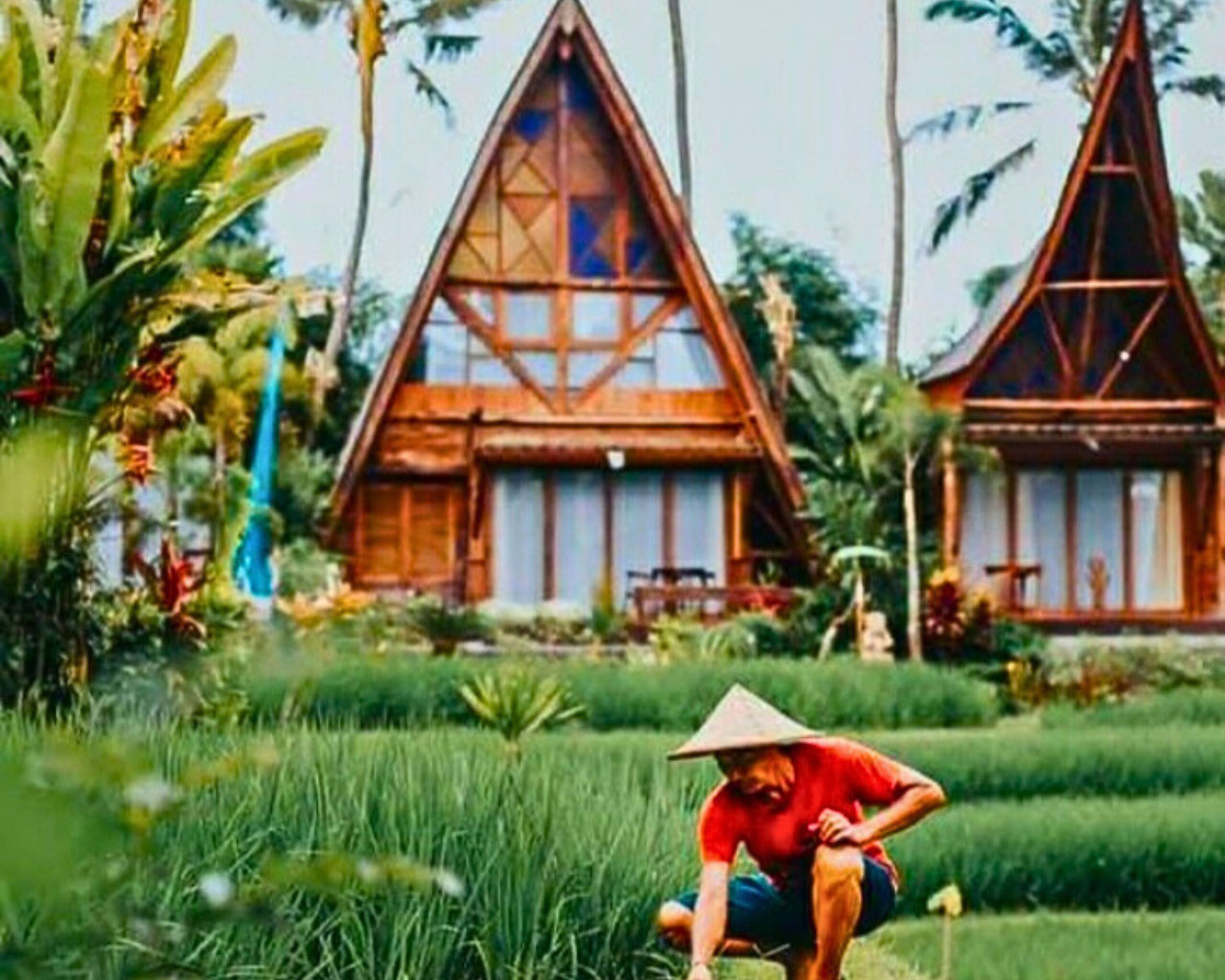 Menzel Ubud Basic Menzel Room 14