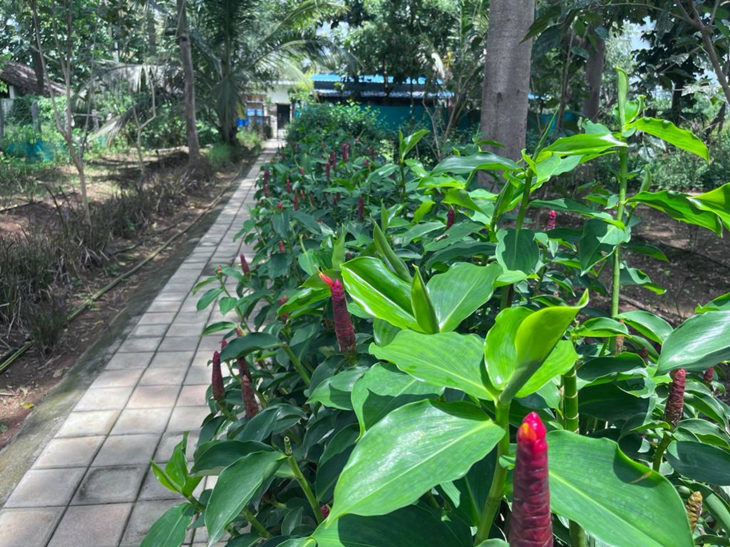 Hide and Teak - Farmstay near Bangalore 8