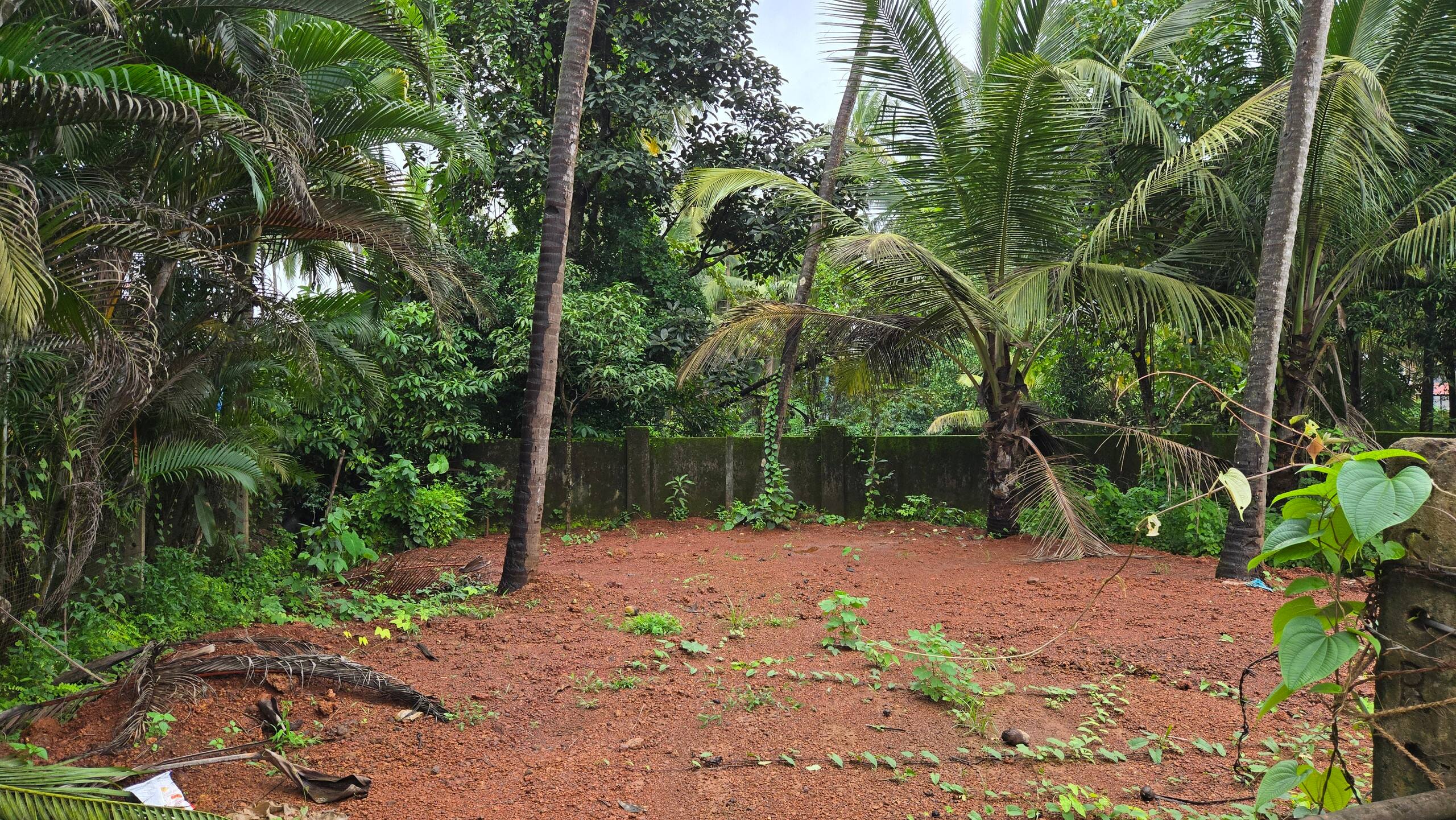 Aira Villa- 4 bhk villa close to Morjim Beach — photo 2