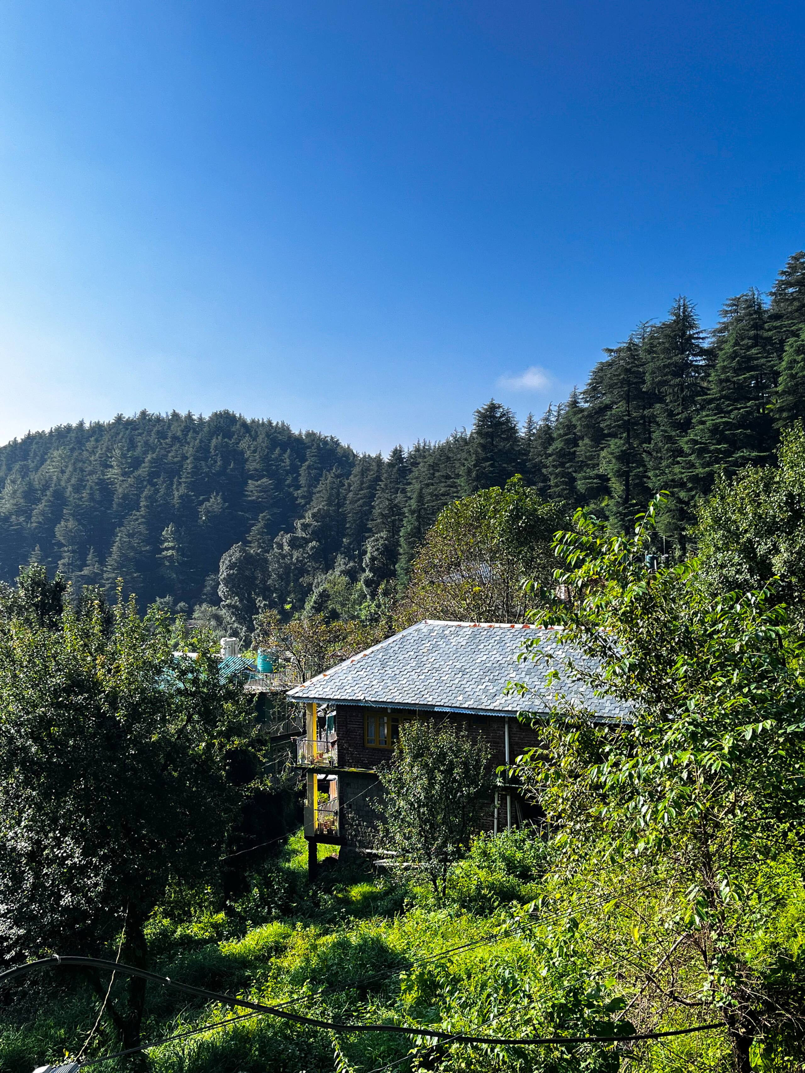 Studio Oak | Mountain View | Yutori Stays 4