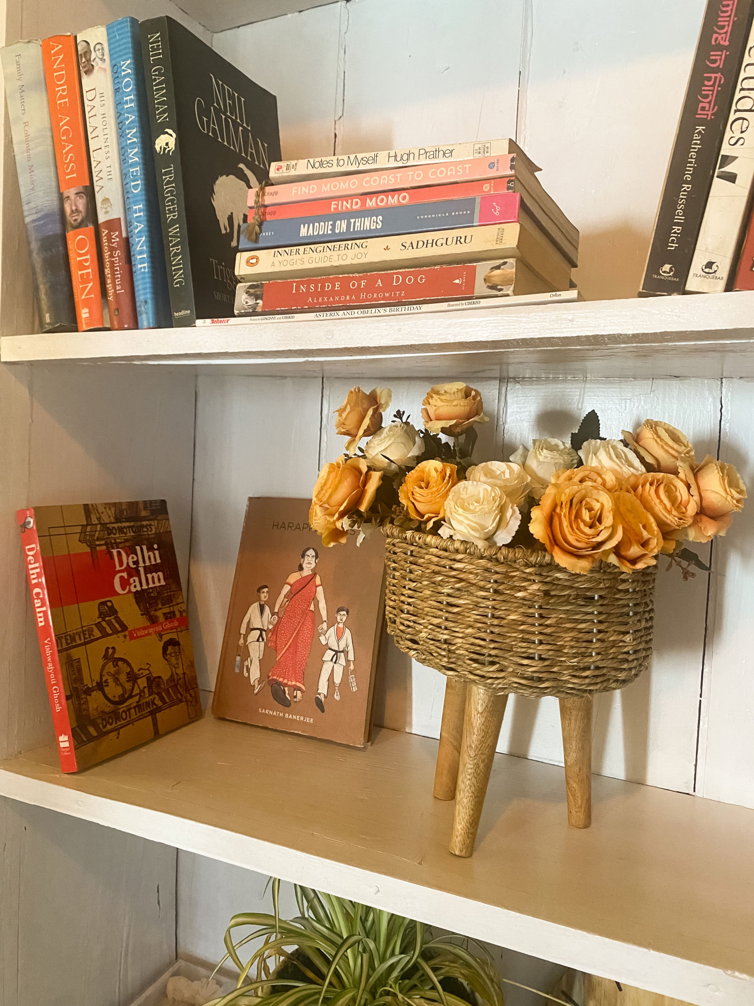 Lady Luna's Dak Bungalow 15