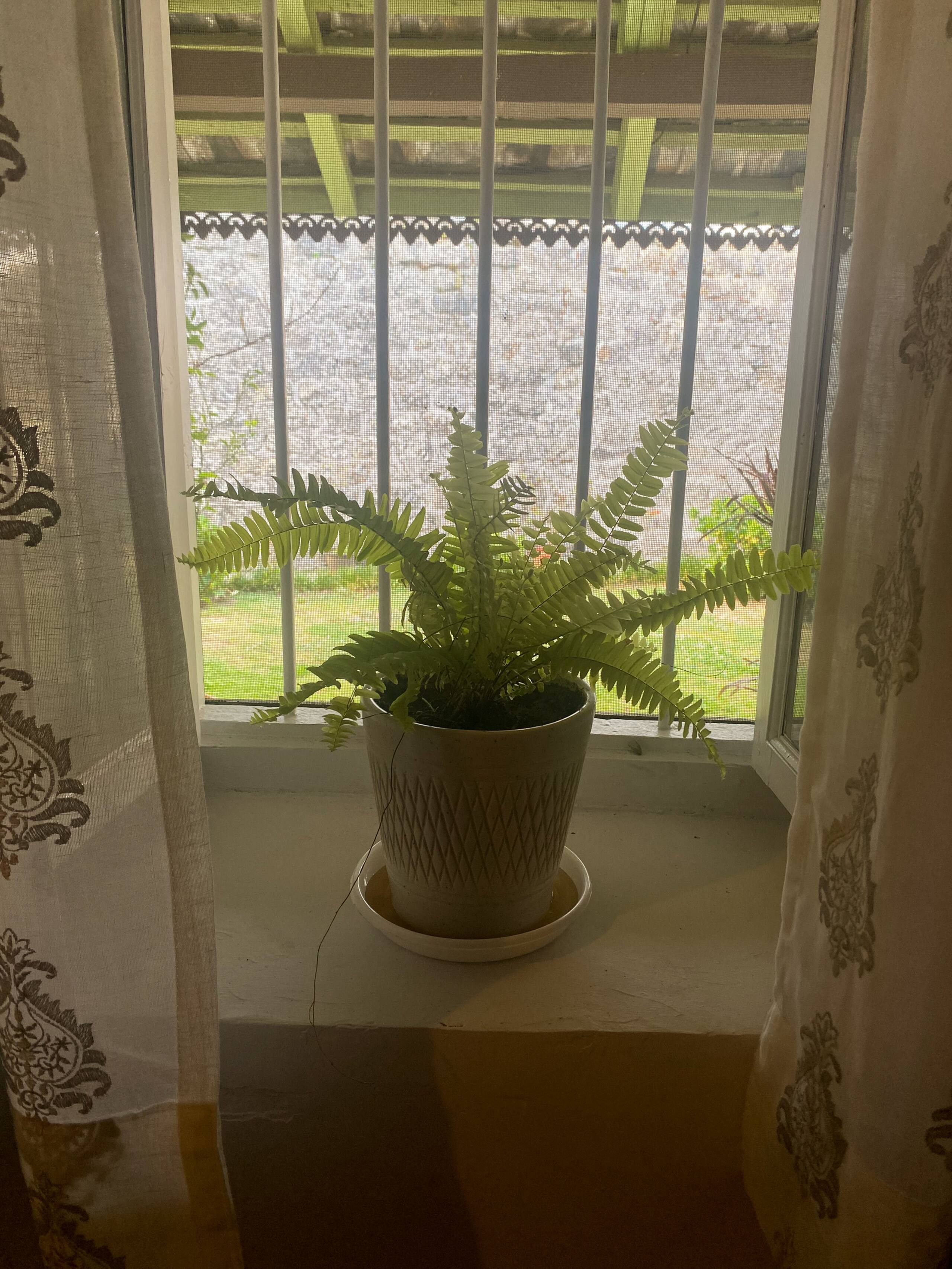 Lady Luna's Dak Bungalow 24