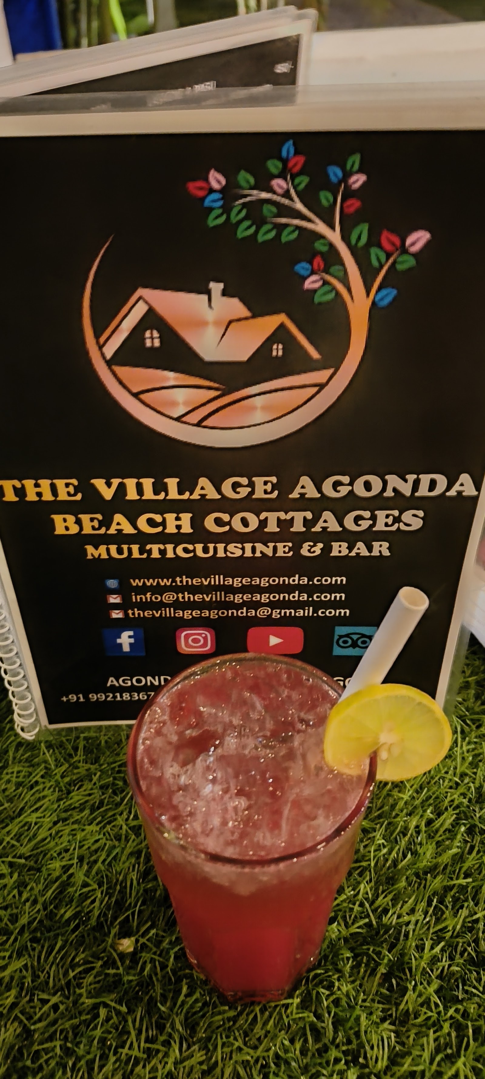 Waddo Villa : Agonda Village 8