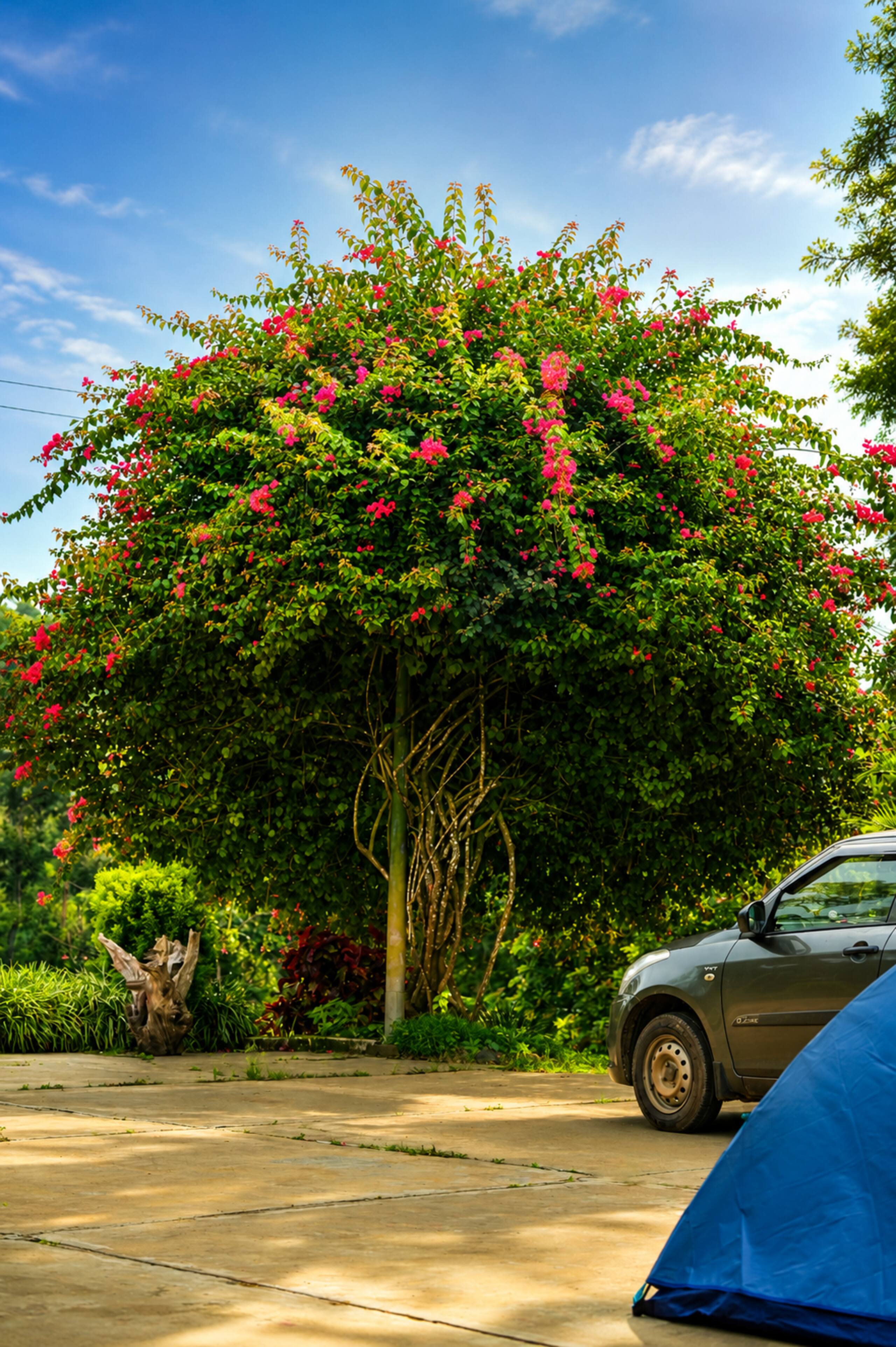 LaRa Homestay | Entire Private Coffee Estate Stay 33