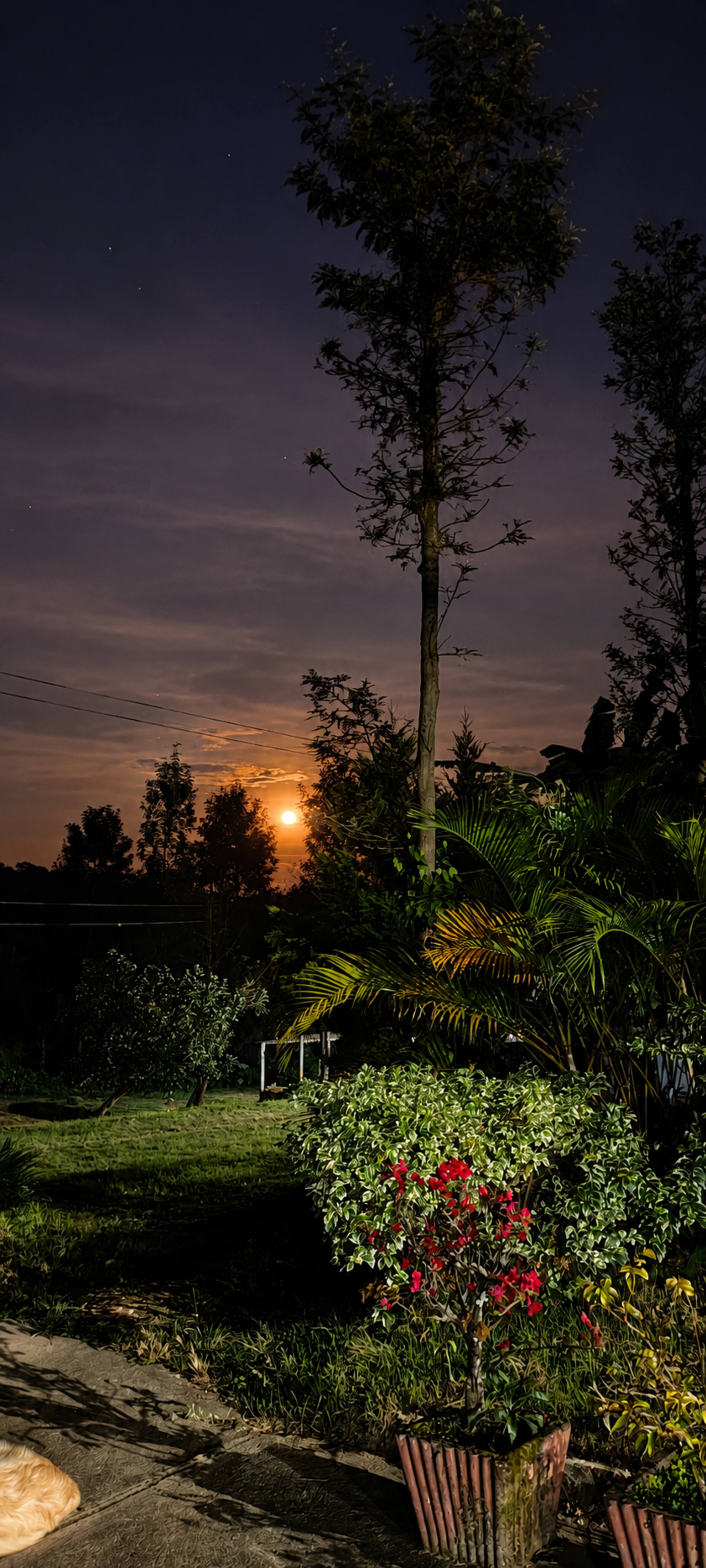 LaRa Homestay | Entire Private Coffee Estate Stay 25