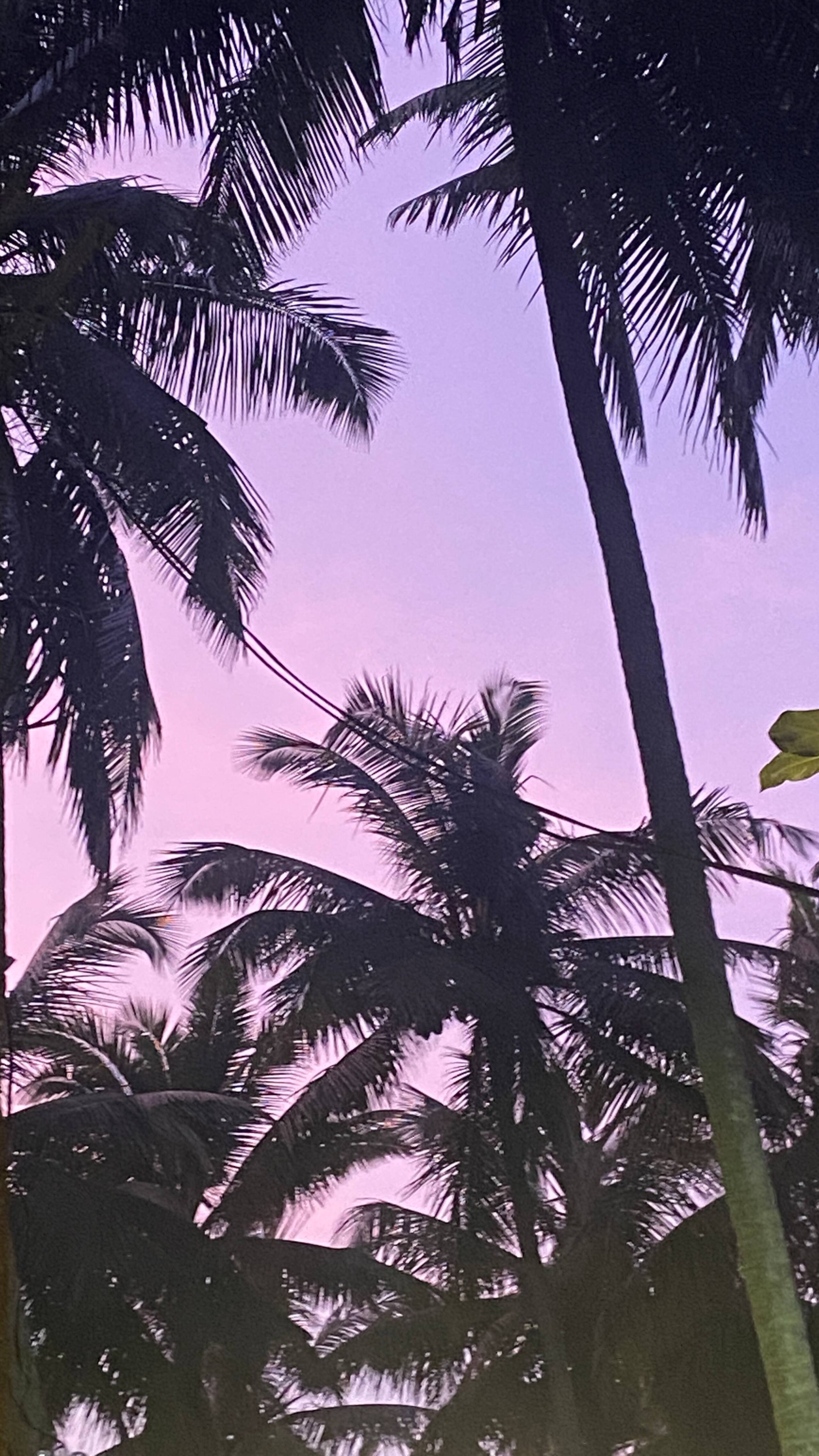 4 bedroom beach Side apartment, Candolim Goa 28