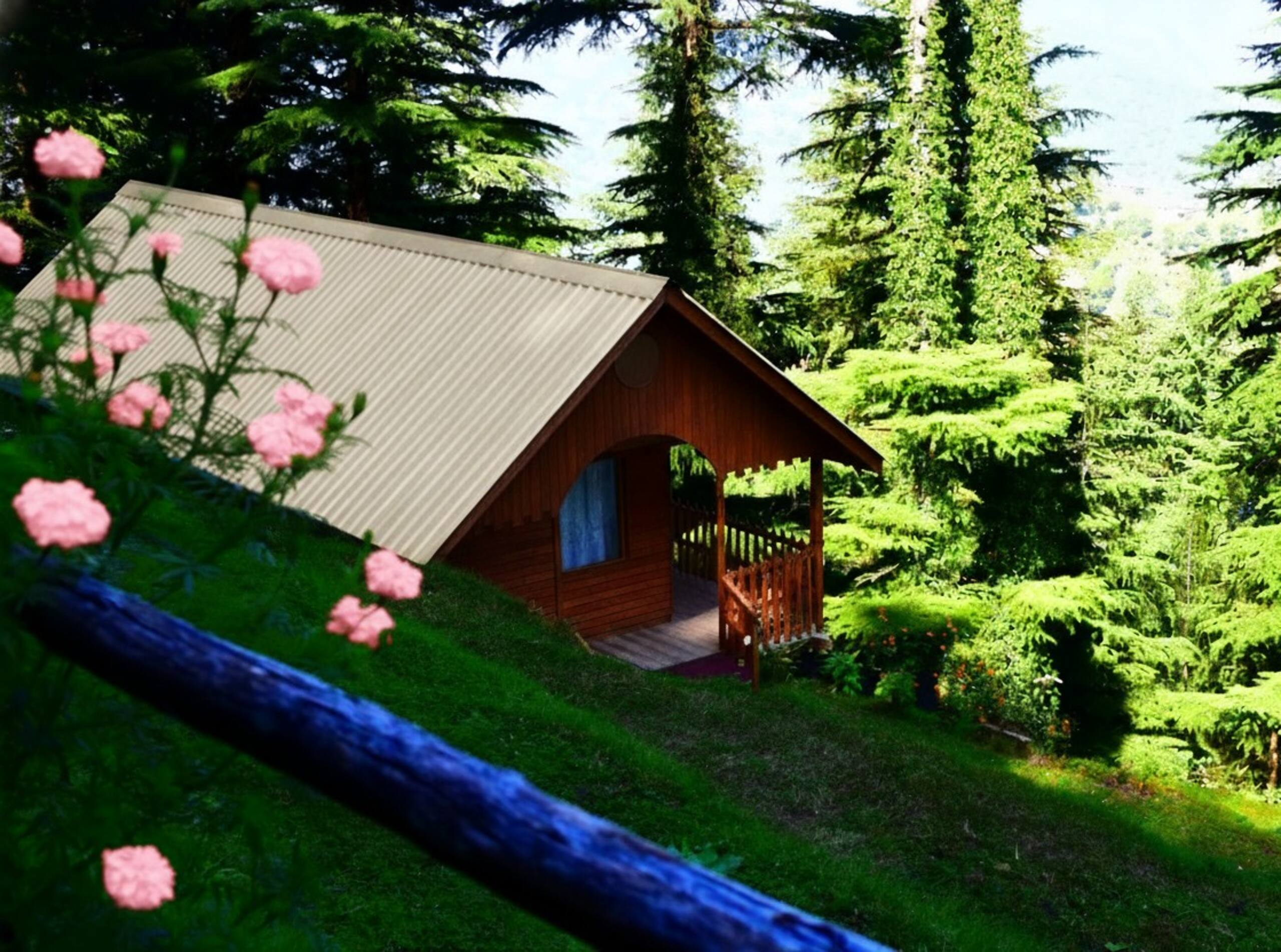 IOI Echoes Room : Cozy Stay in Dalhousie 10