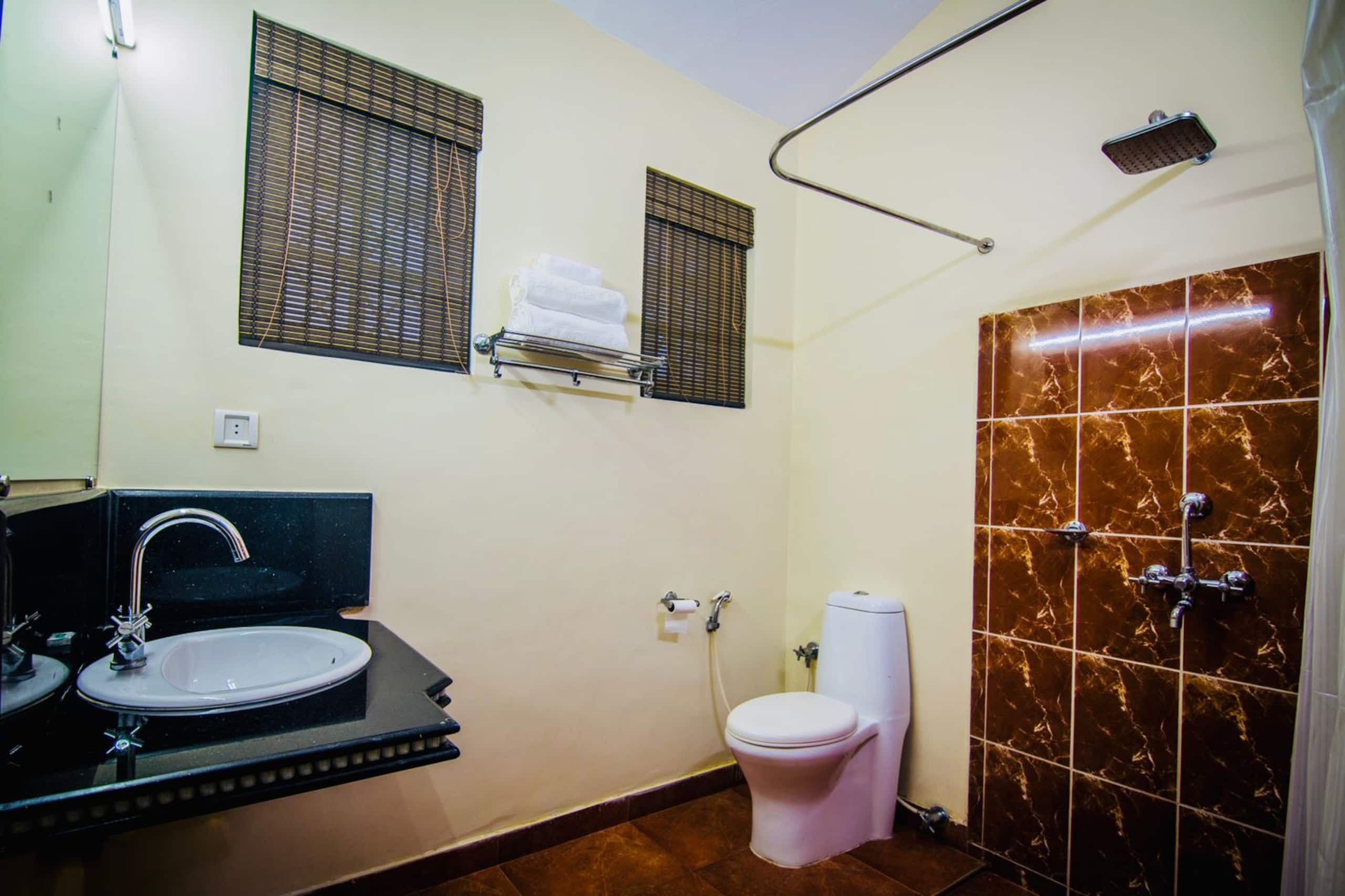 06 BHK with  private pool in Arproa 24