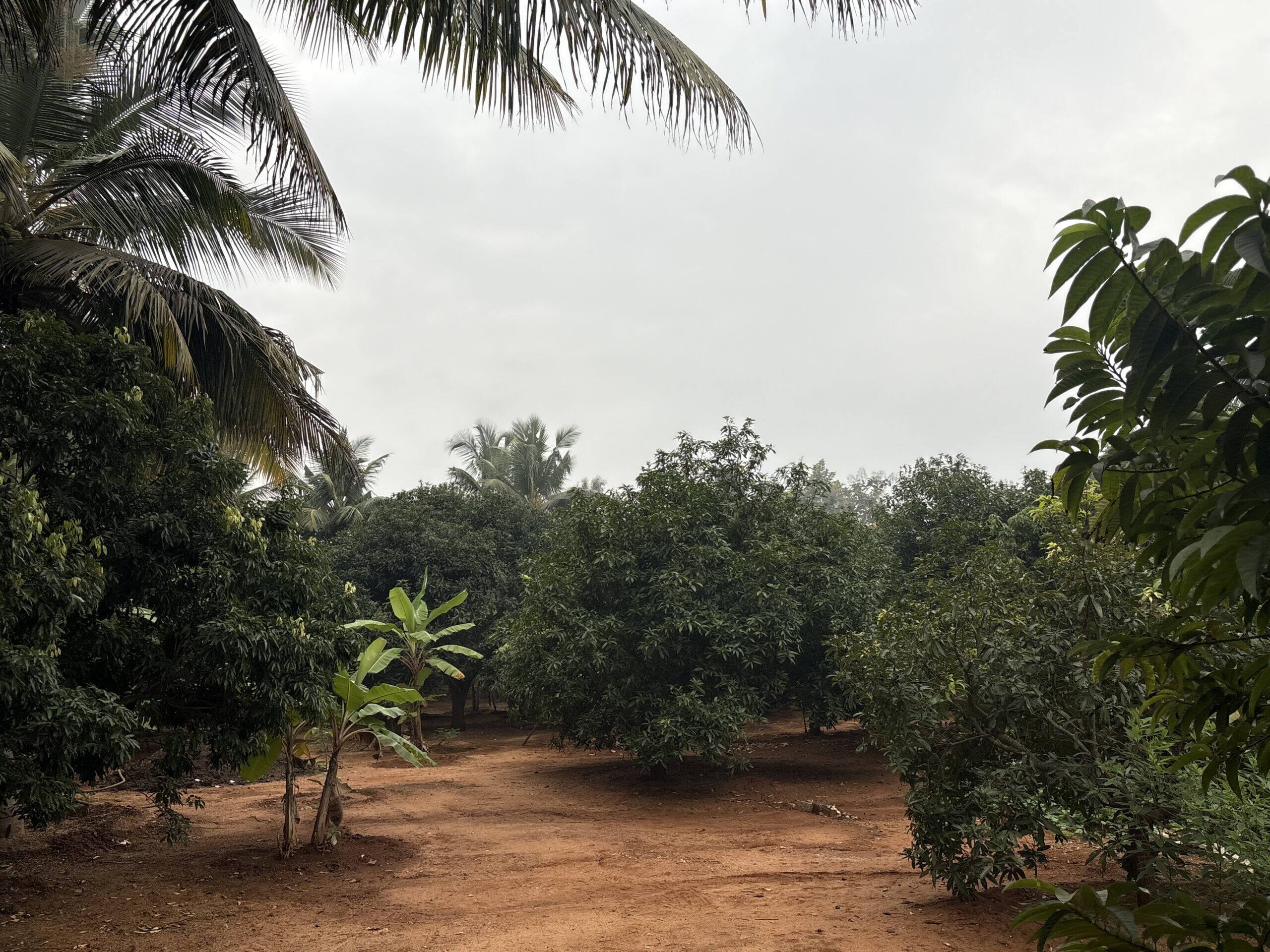 Ashokavani Farmstay & Events Venue 36