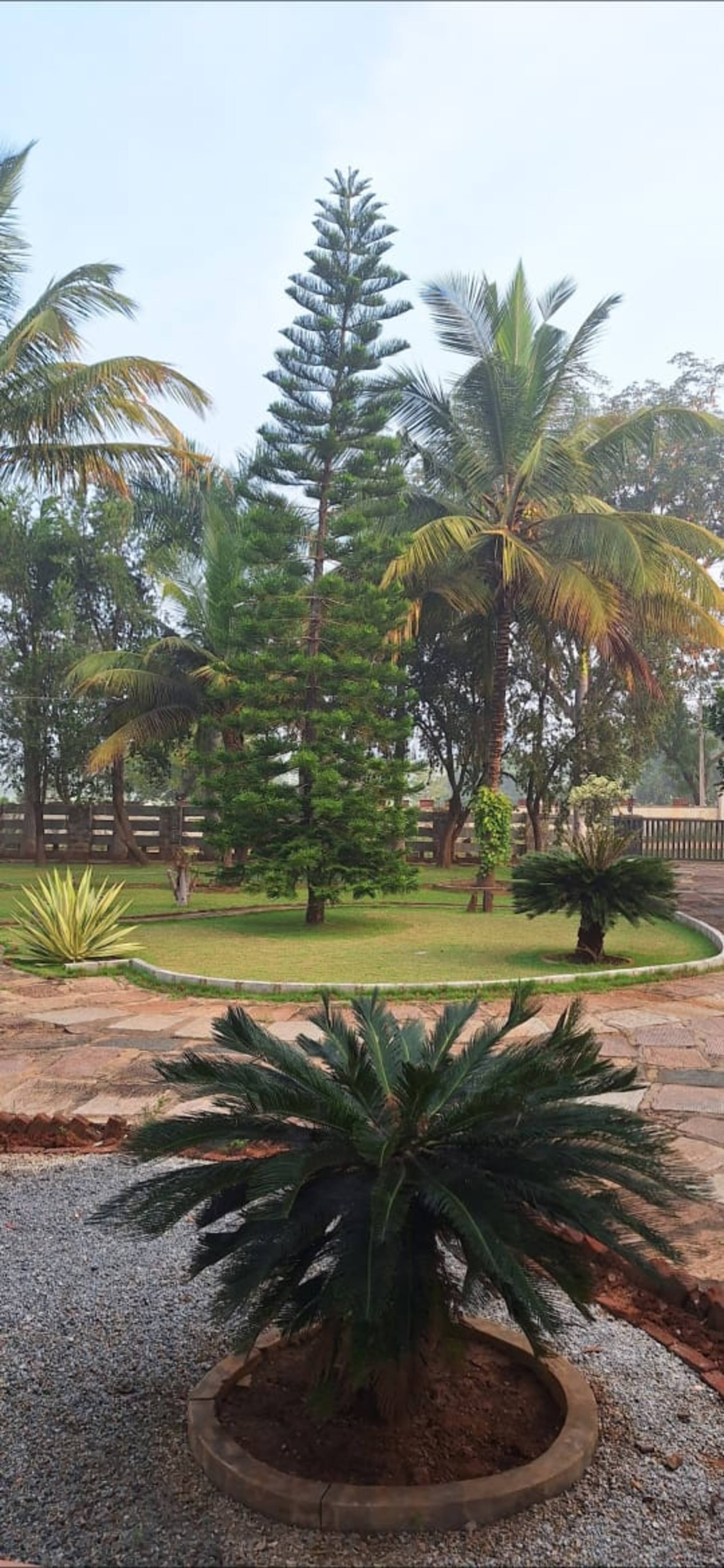 Ashokavani Farmstay & Events Venue 23