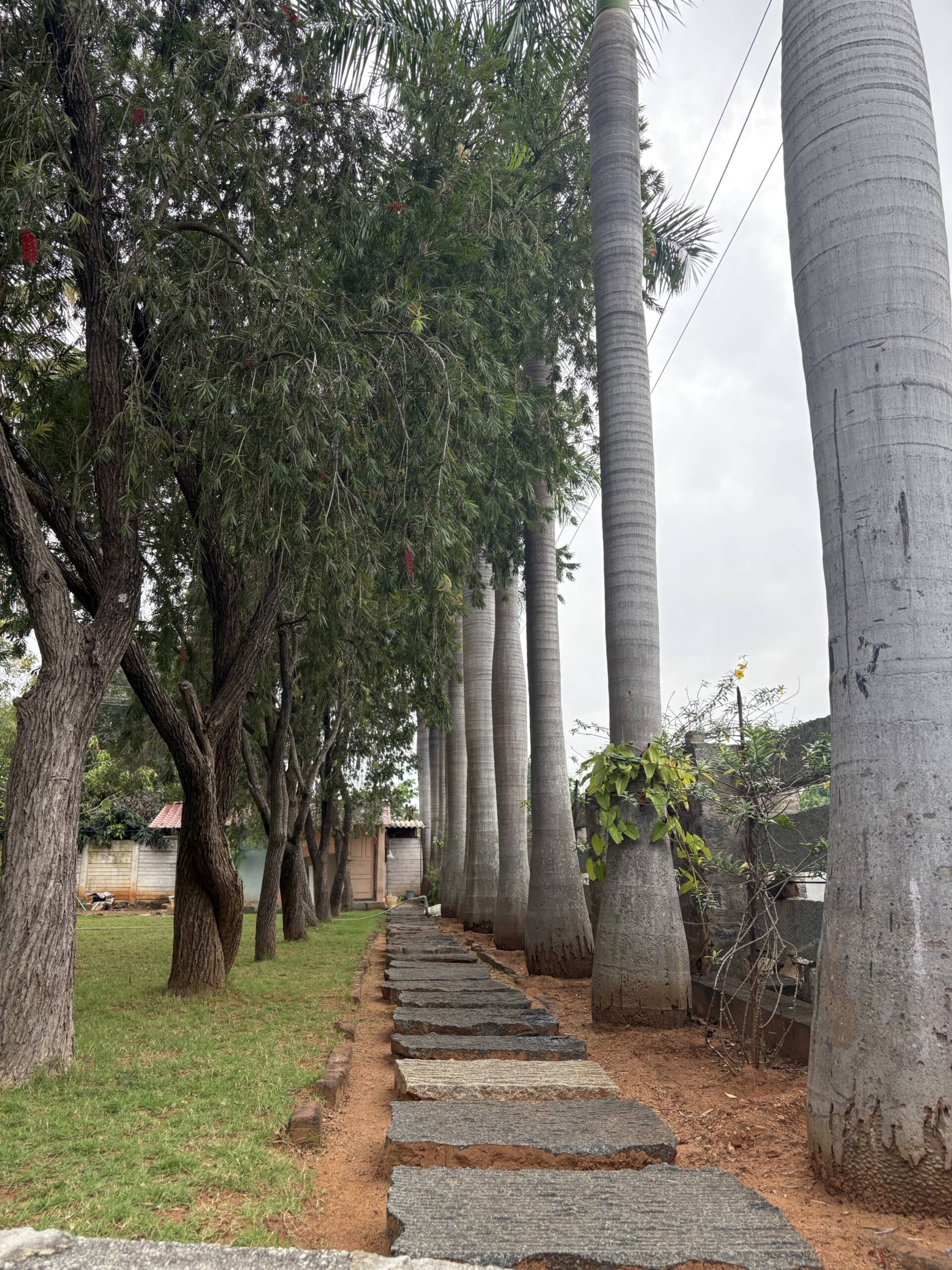 Ashokavani Farmstay & Events Venue 35